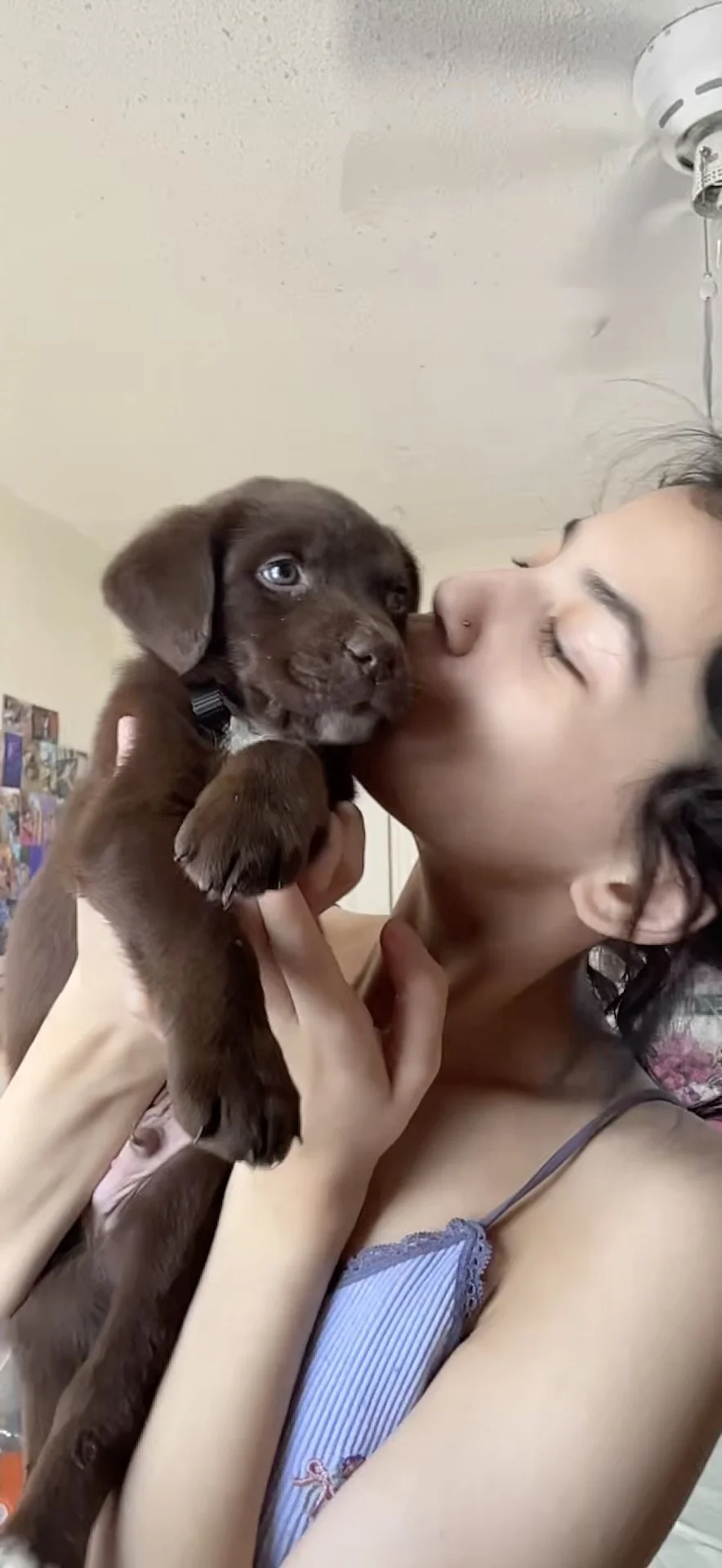 A woman holding a brown puppy with blue eyes and nose close to her face, about to give it a kiss.