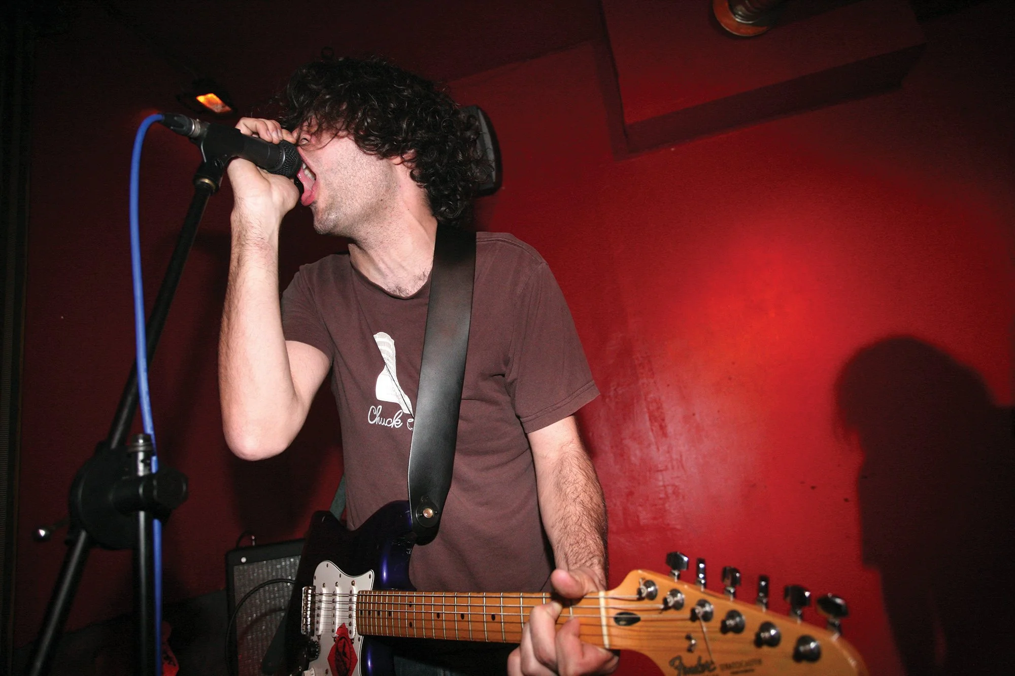diggerandthepussycats1010.jpg