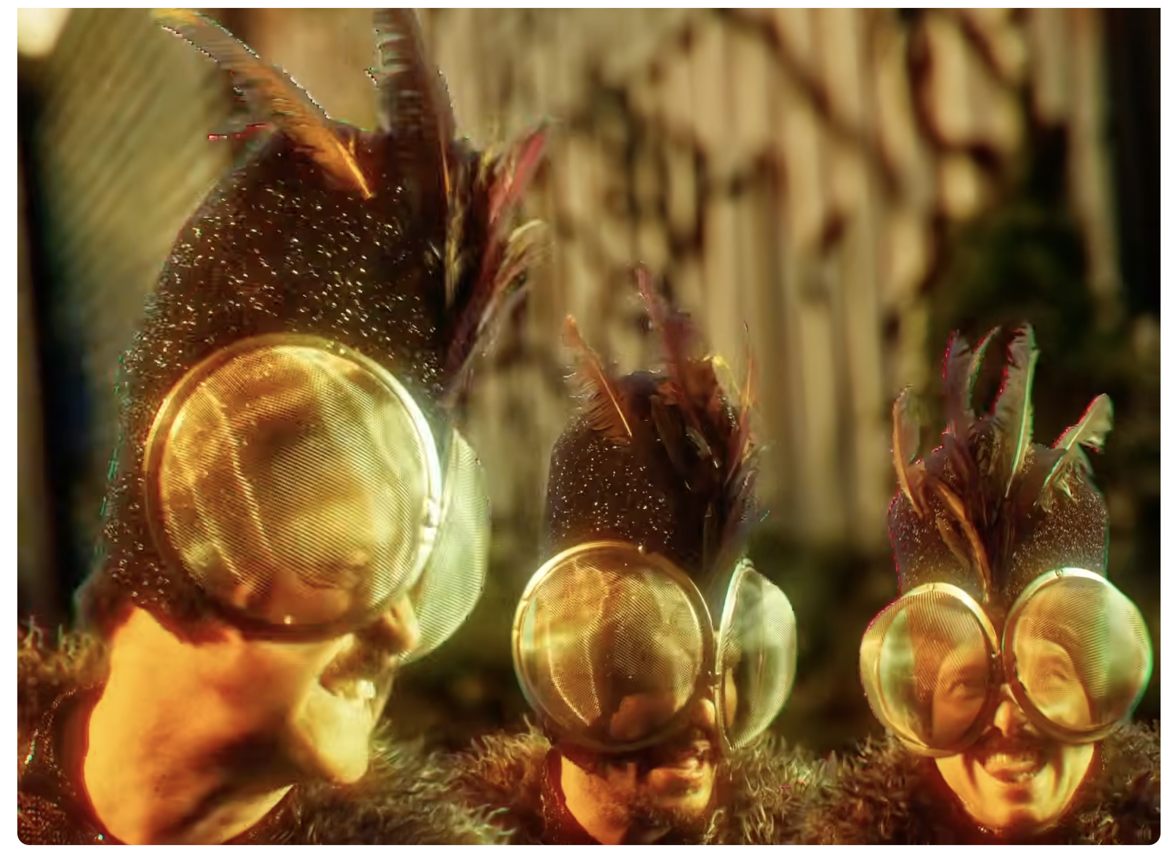 Máquina Peligrosa Release Intro Venus Music Video