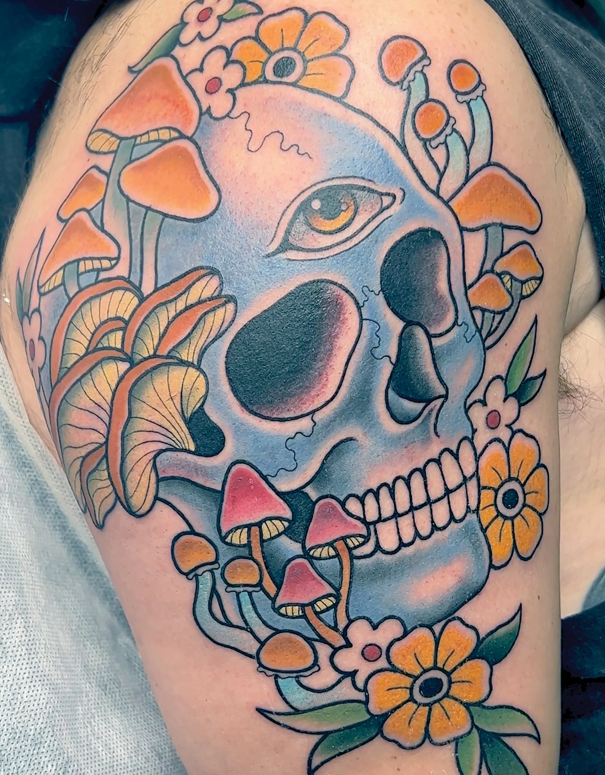 clare-hampshire-skull.jpg