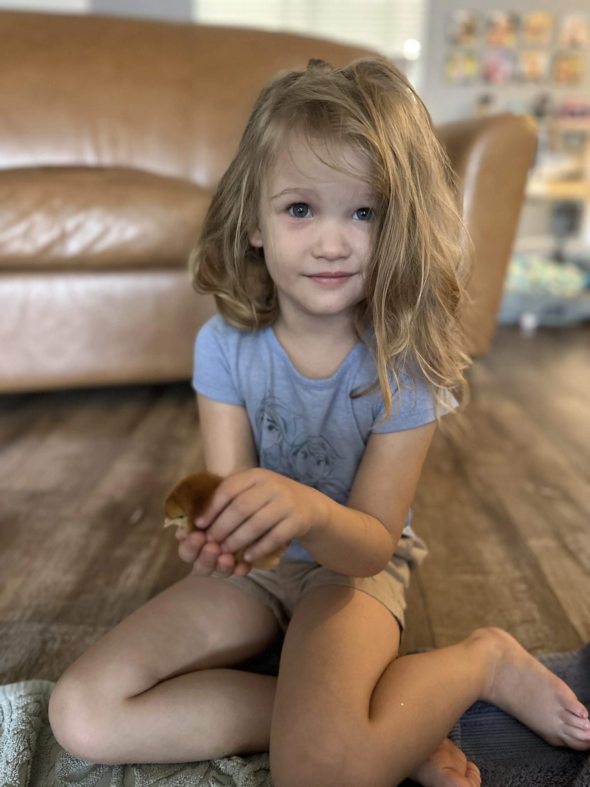 A young girl with long, curly blonde hair and blue eyes, wearing a blue t-shirt, sitting on the floor, holding a small brown baby chick, in her hands