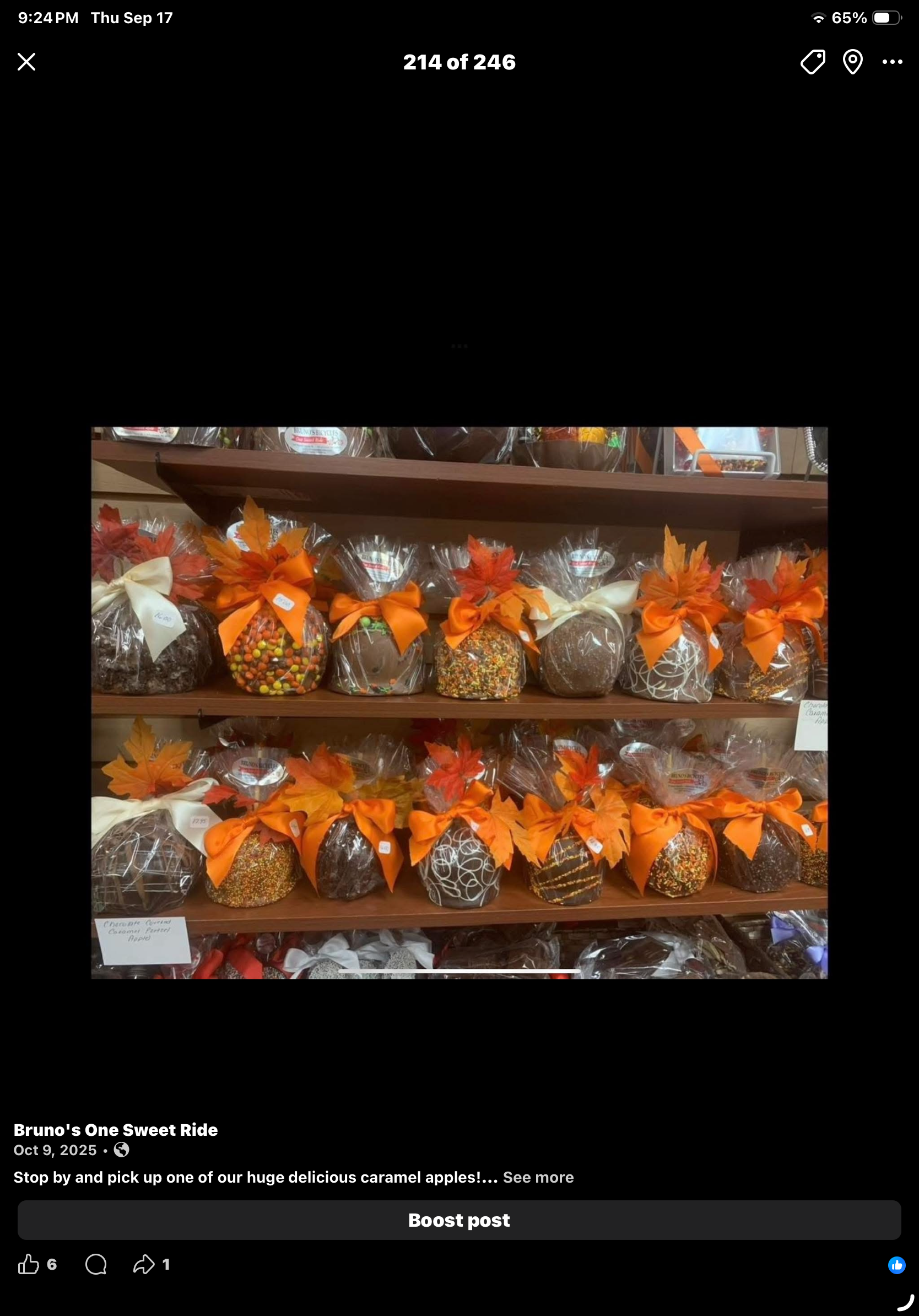 MADE TO ORDER Chocolate Covered Apples