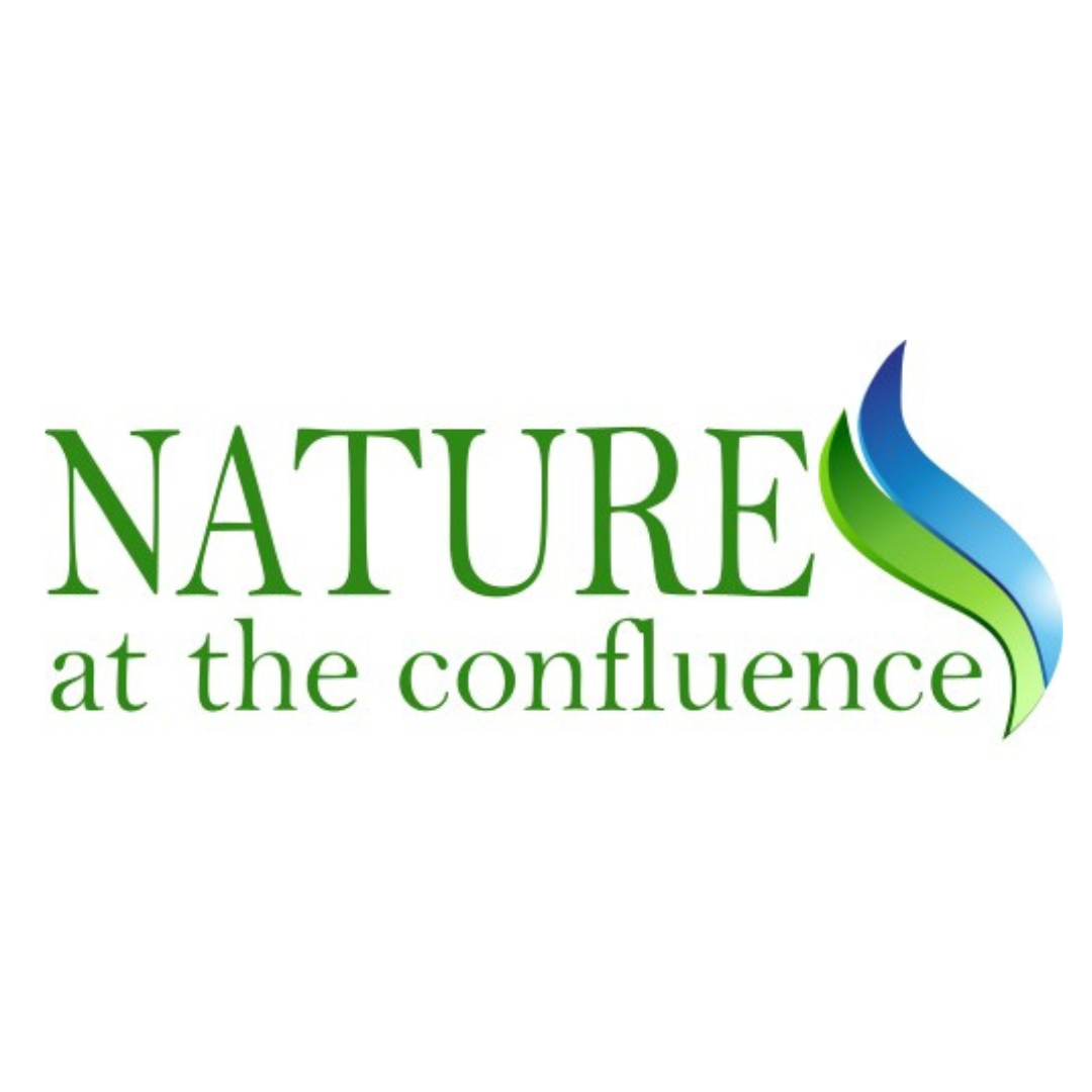 Logo: Nature at the confluence