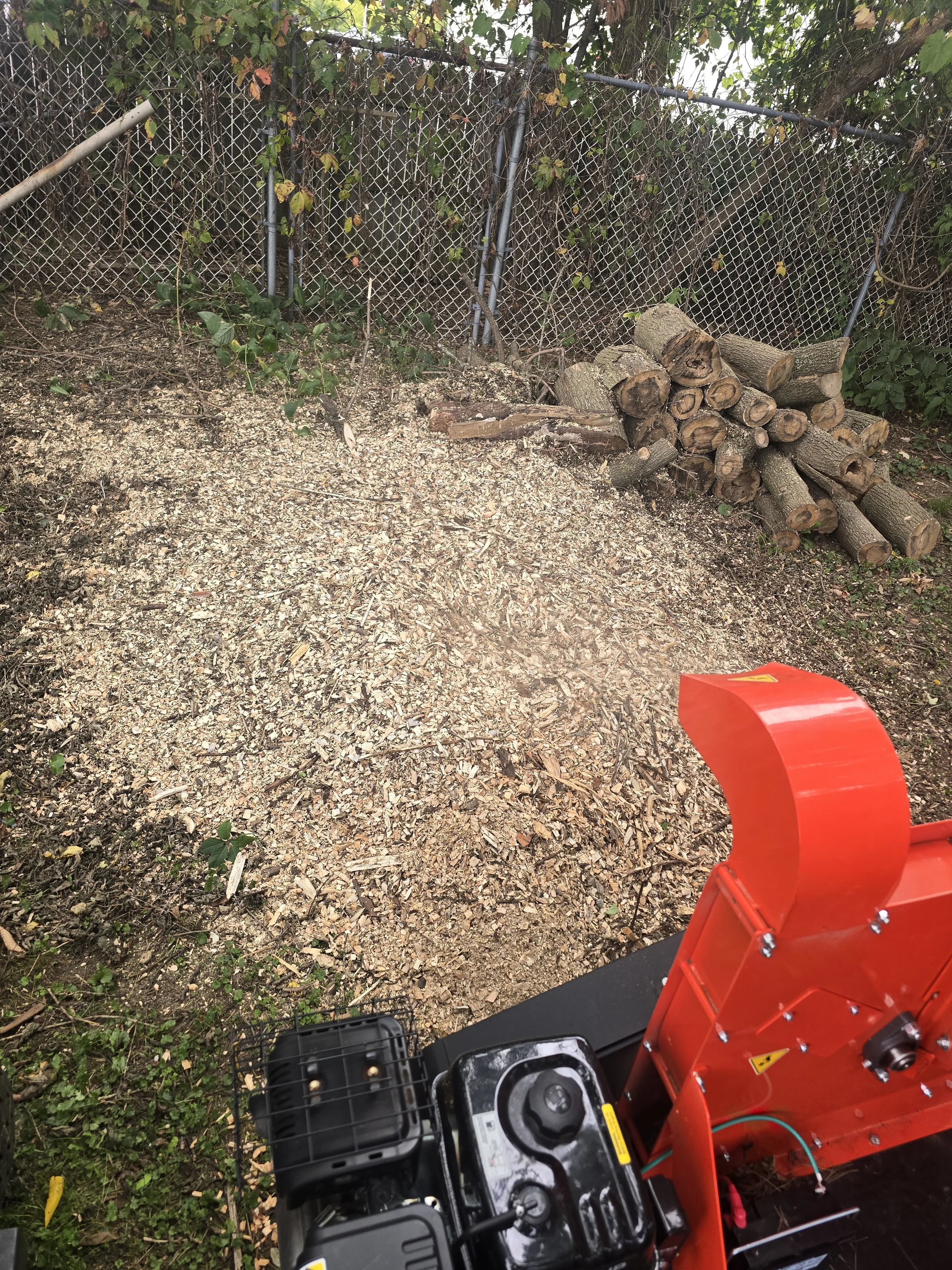 We made quick work of the branches and turned them into a pile of wood chips.