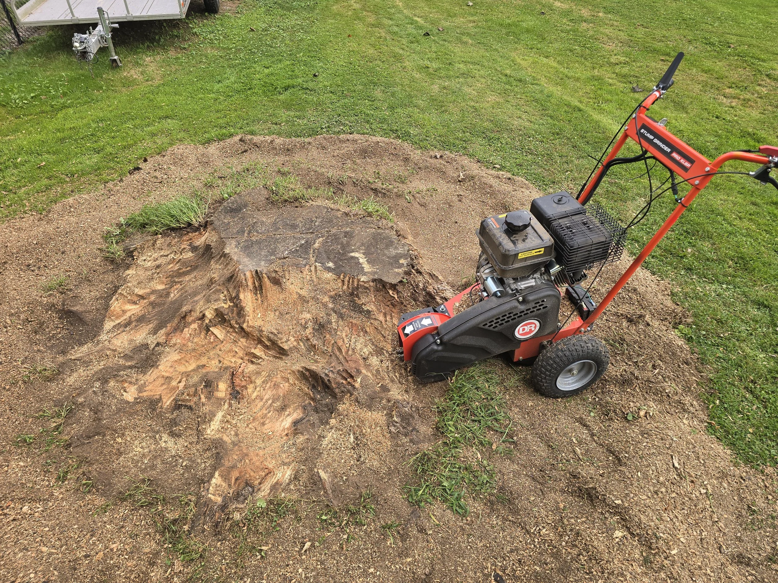 An enormous stump that we tackled.