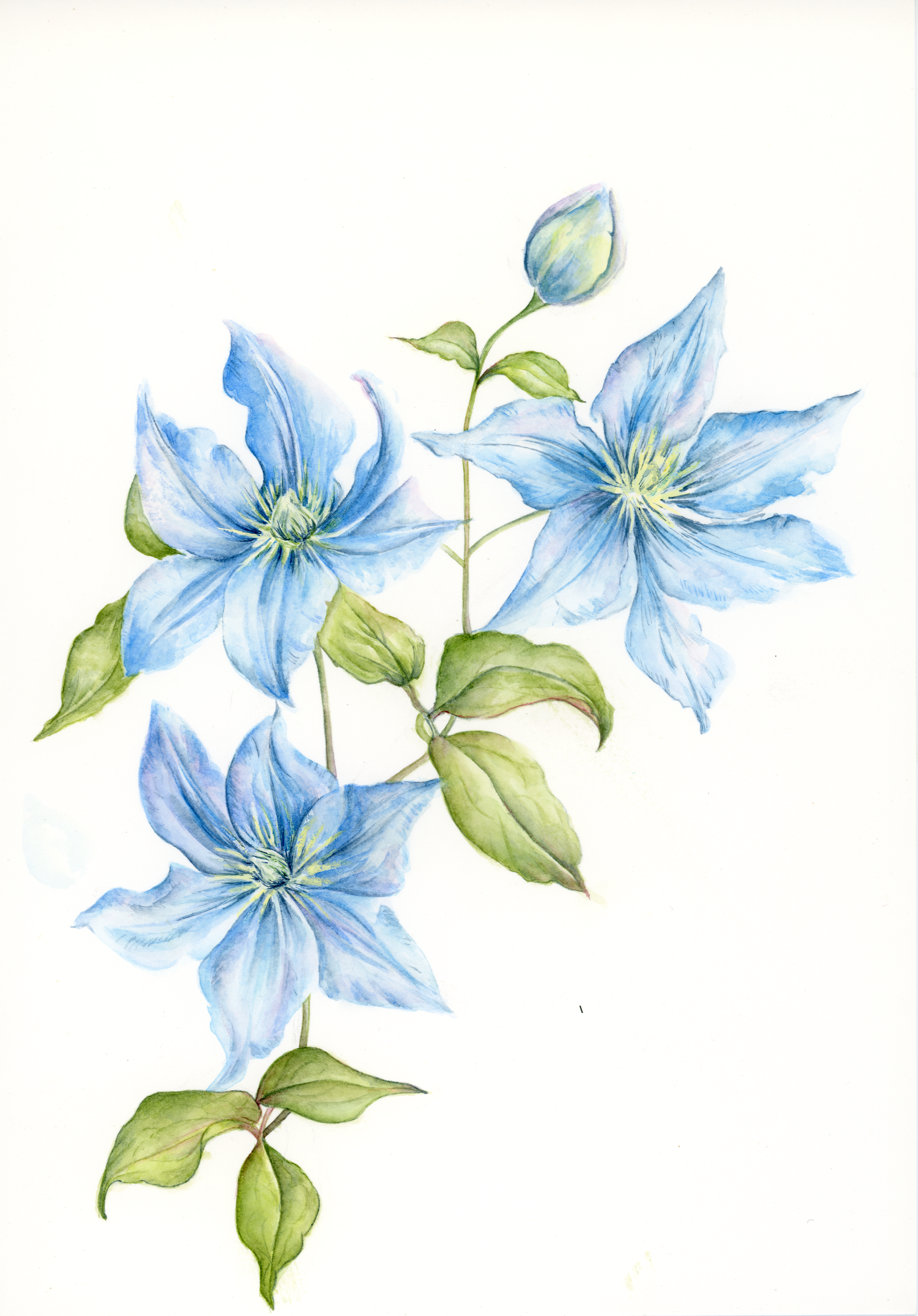 img055.png