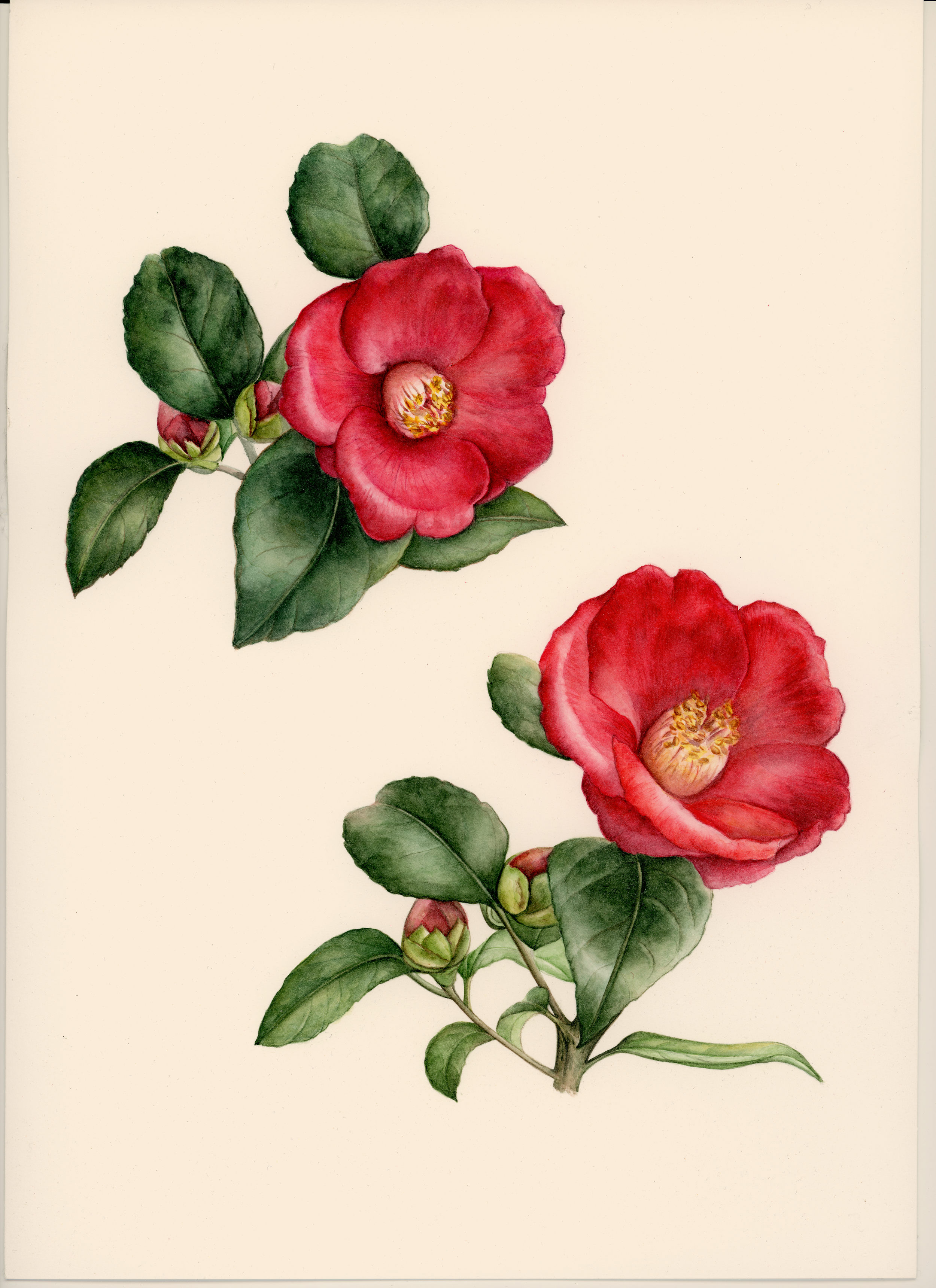 img103.png