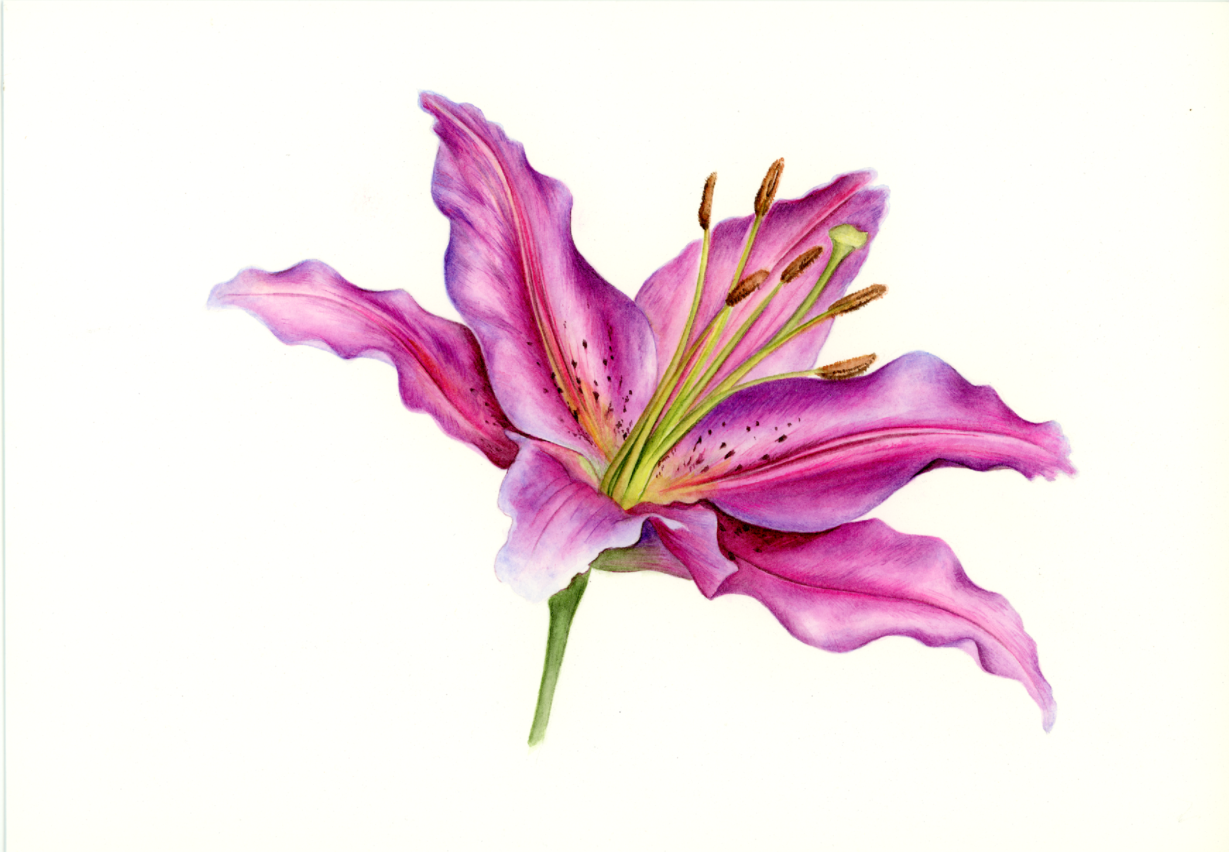 img070.png