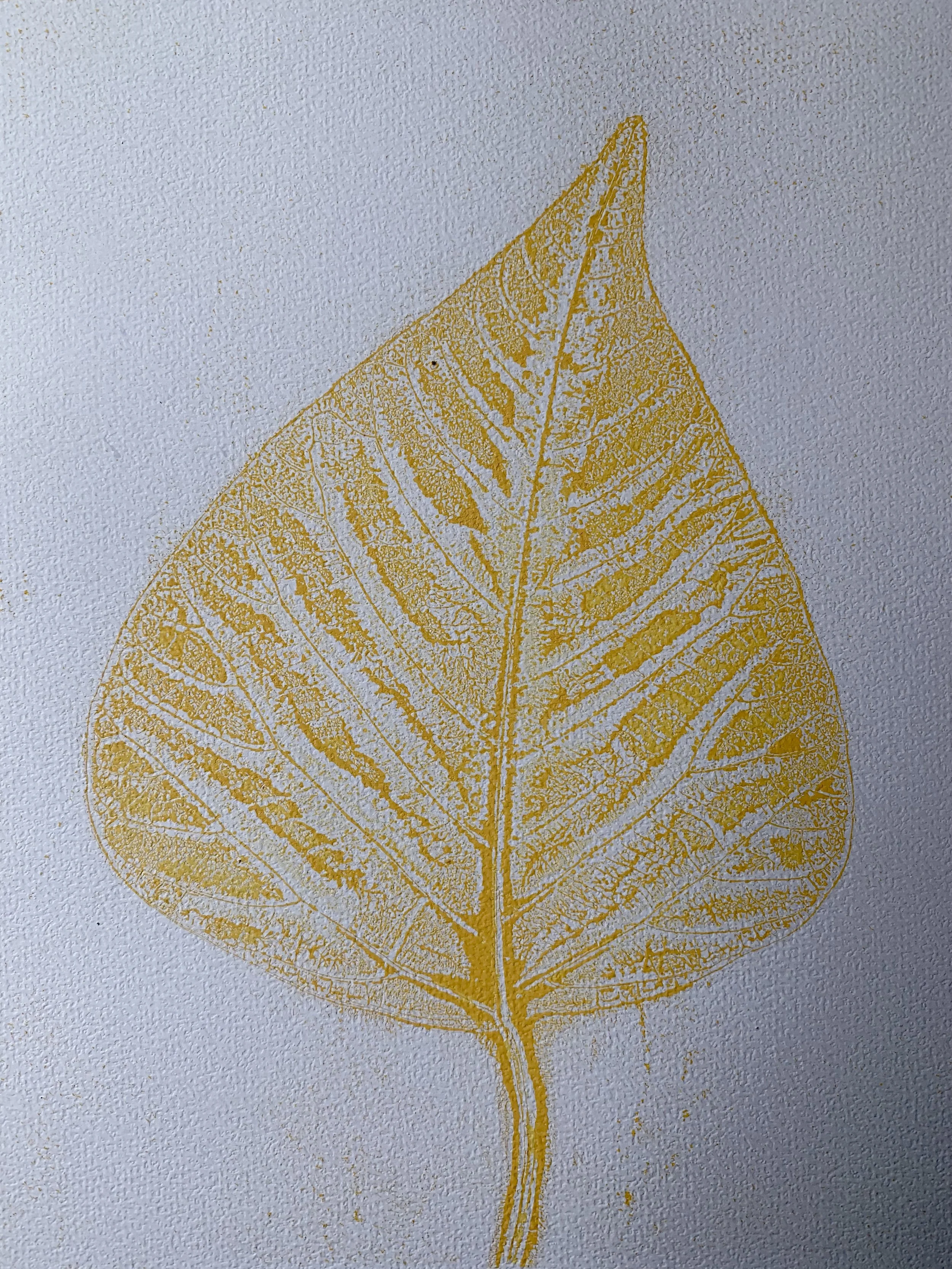 A yellow leaf skeleton print on a white textured background.