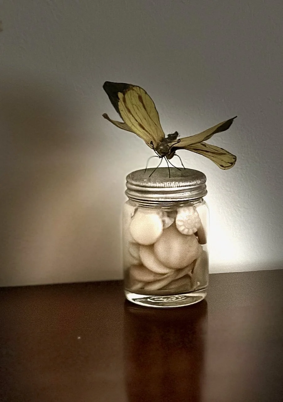 A yellow butterfly perched on top of a small glass jar filled with buttons, on a dark surface with a plain wall background.