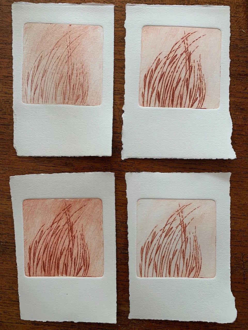 Four pieces of paper with an etching of grass or hair in reddish-brown ink, arranged in a 2x2 grid, on a wooden surface.
