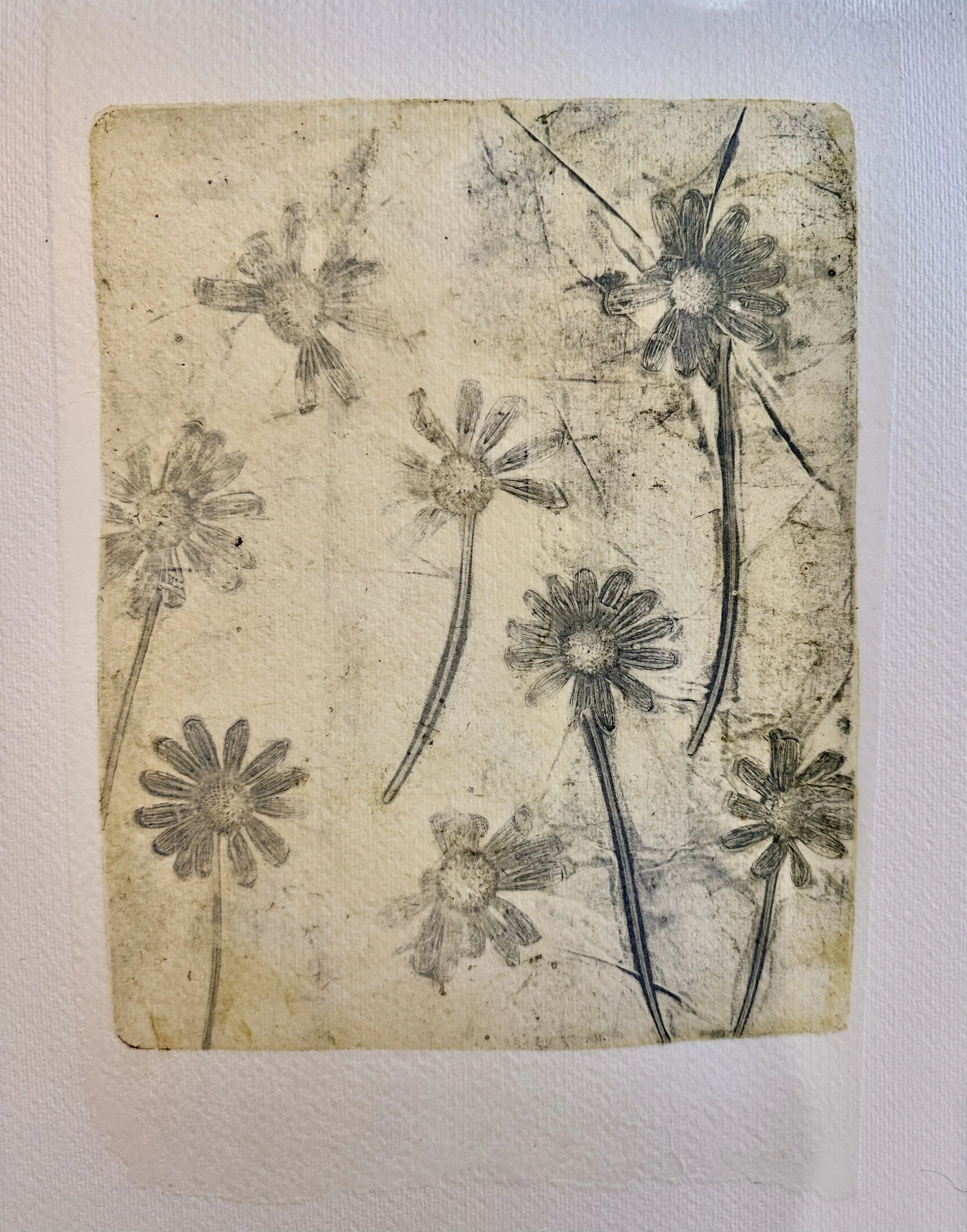 A drawing of multiple daisies with slender stems on a textured, aged paper background.