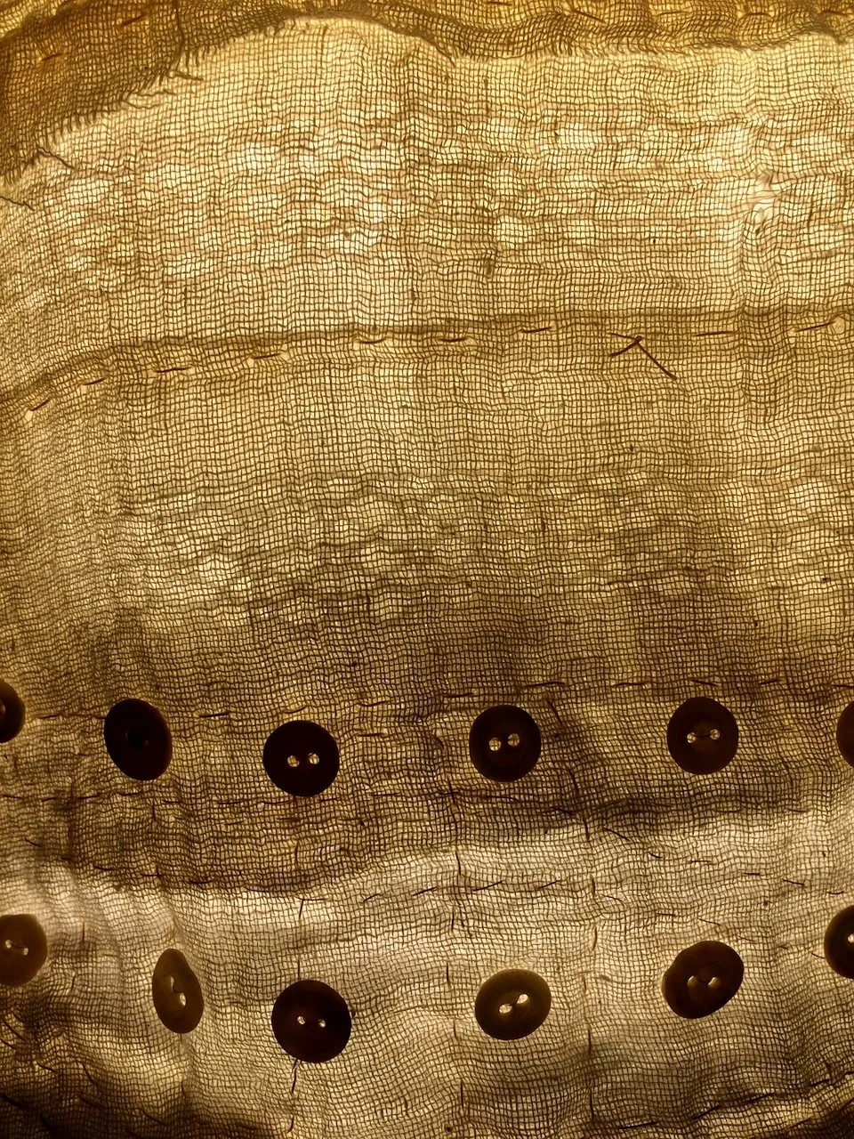 Close-up of a fabric with a mesh pattern and several sewn-on black buttons.