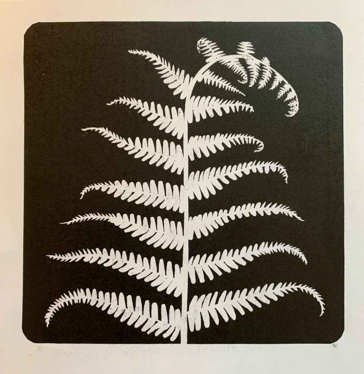 Silhouette of a fern leaf with detailed fronds on a black background.