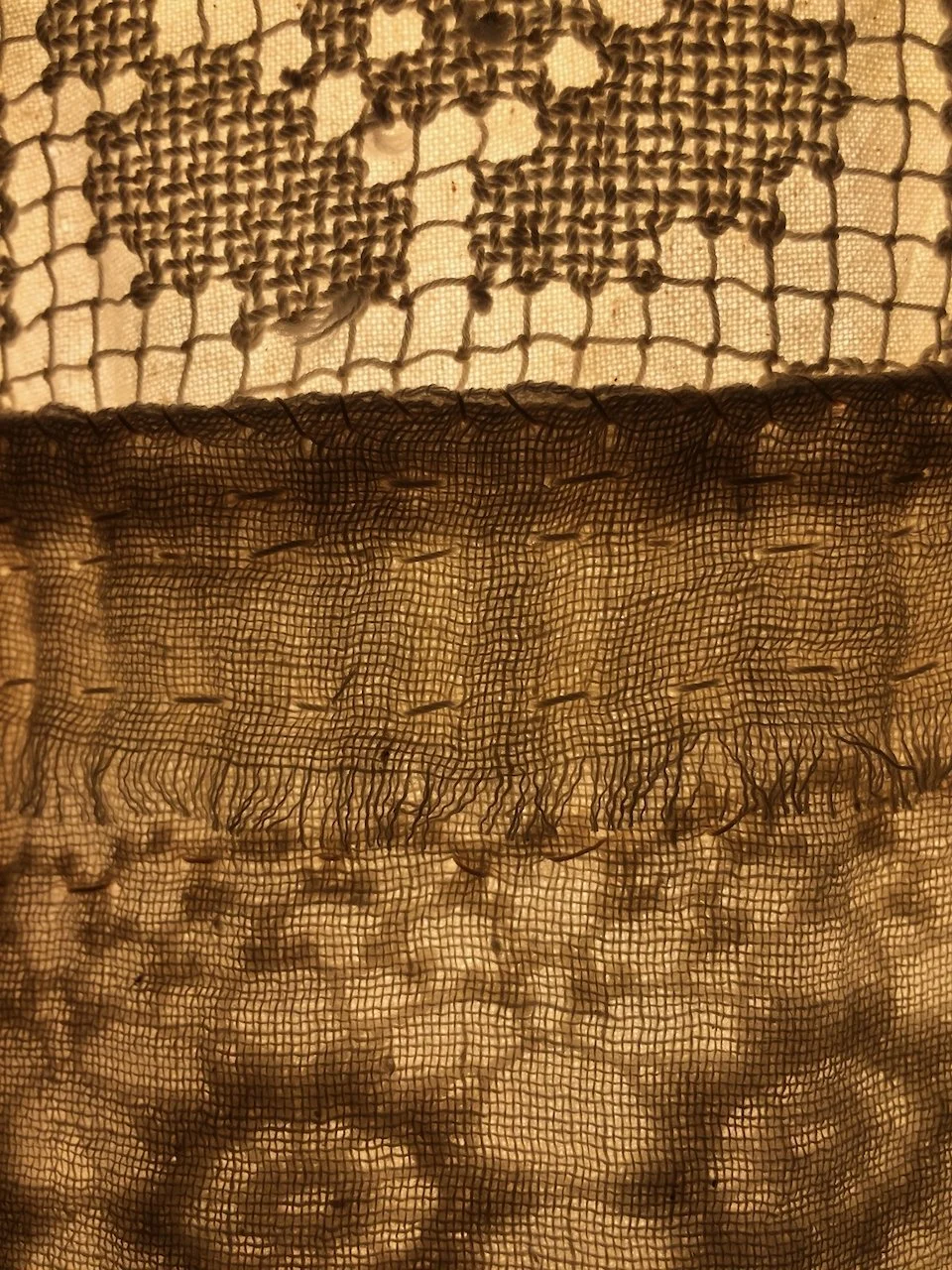 Close-up image of a fishing net with small round objects, likely fish eggs or similar, caught and embedded in the mesh.