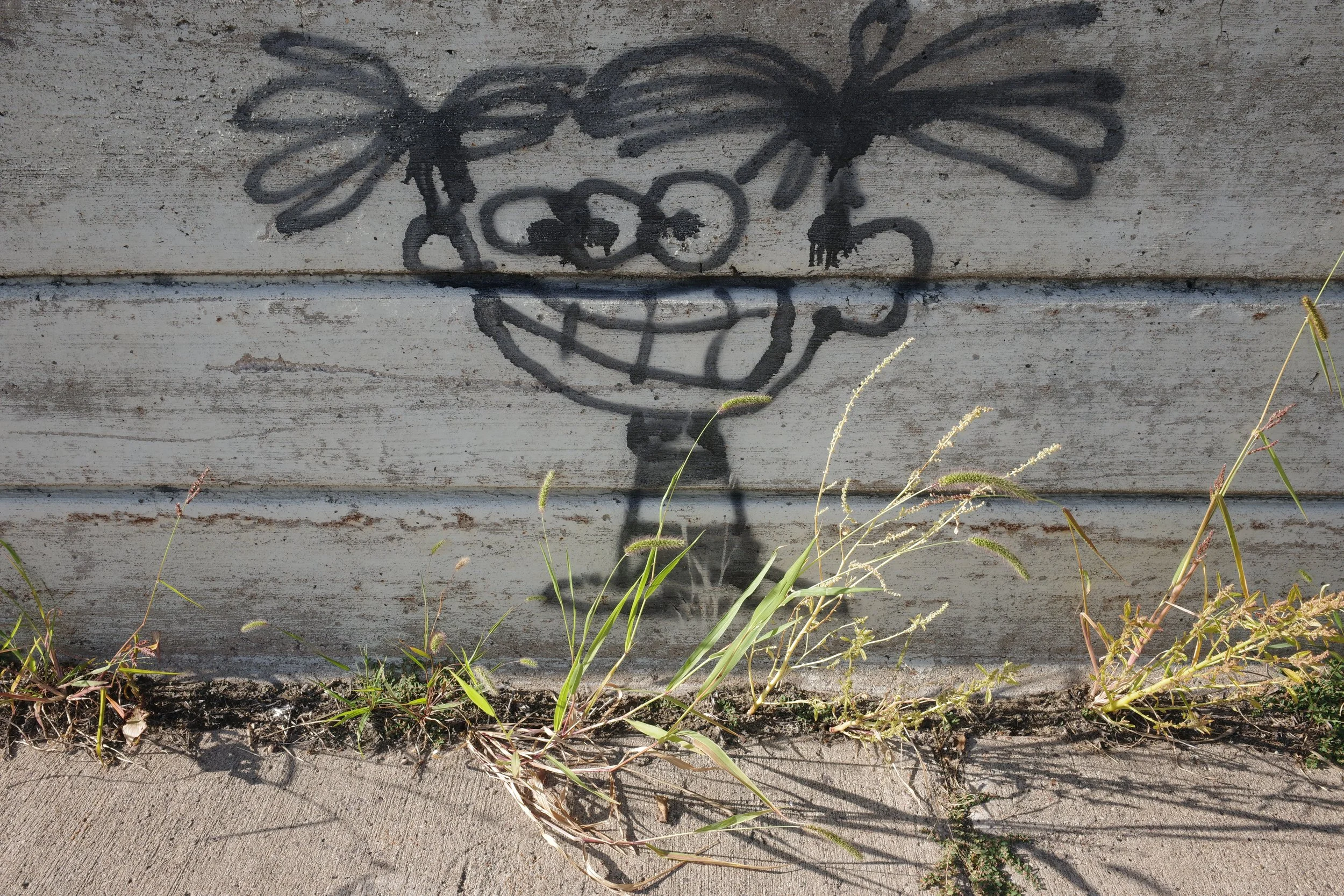 A character drawn by an emerging cartoonist