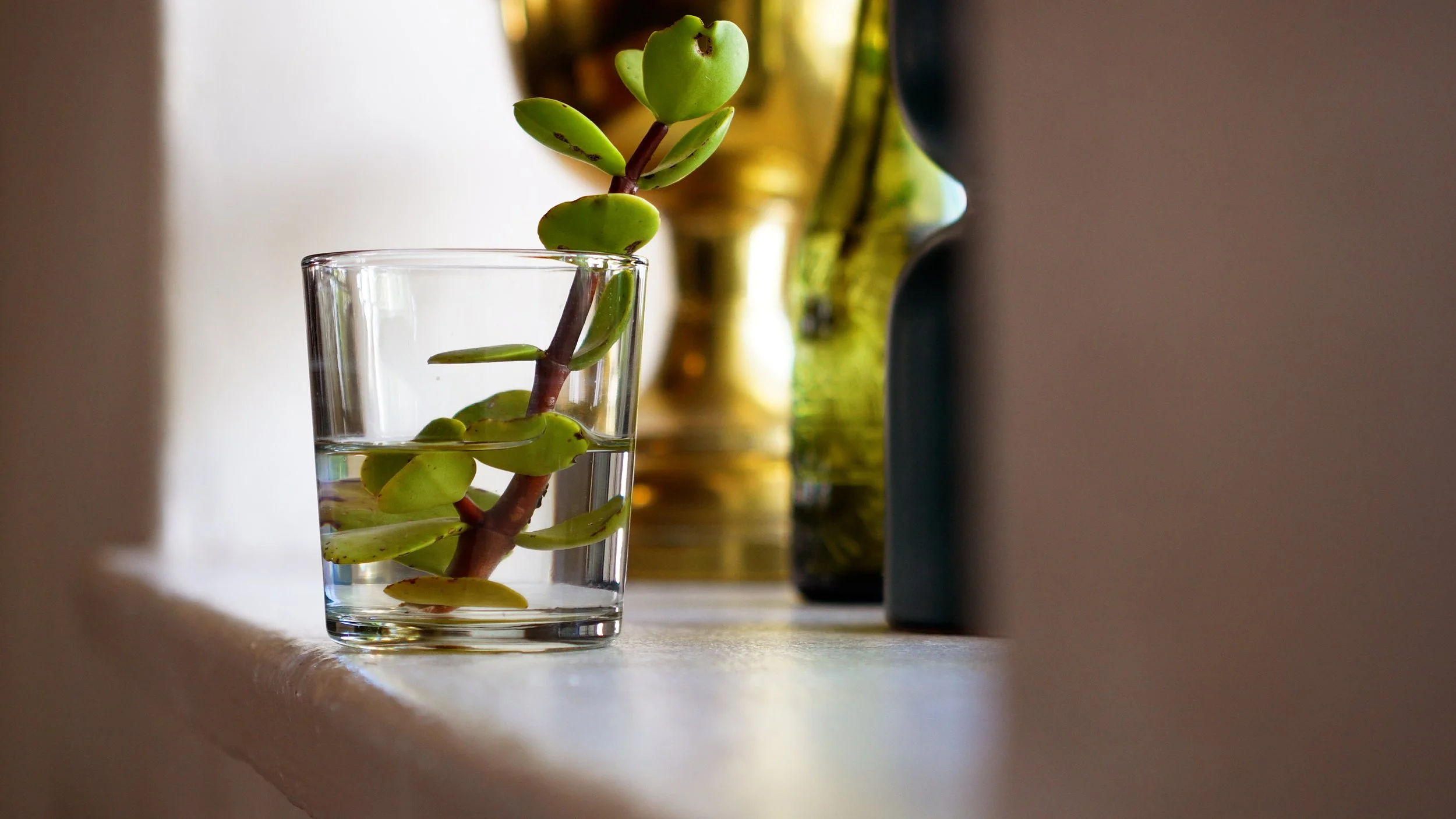 EIKE SHOT6.jpg