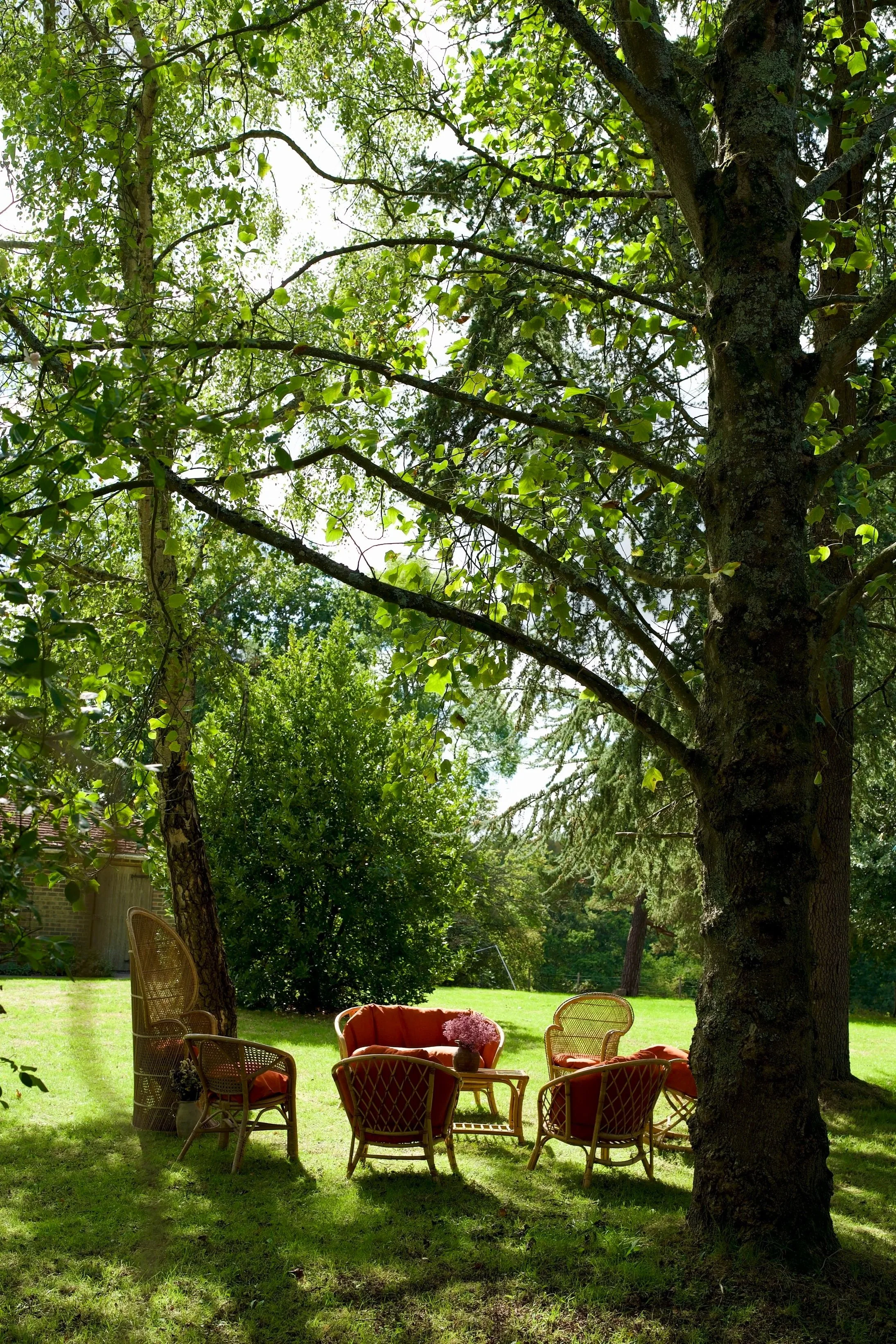 A backyard scene with a large tree providing shade, surrounded by green grass and bushes. There is outdoor furniture including chairs and a table with pink flowers on it, set in the shade of the tree.