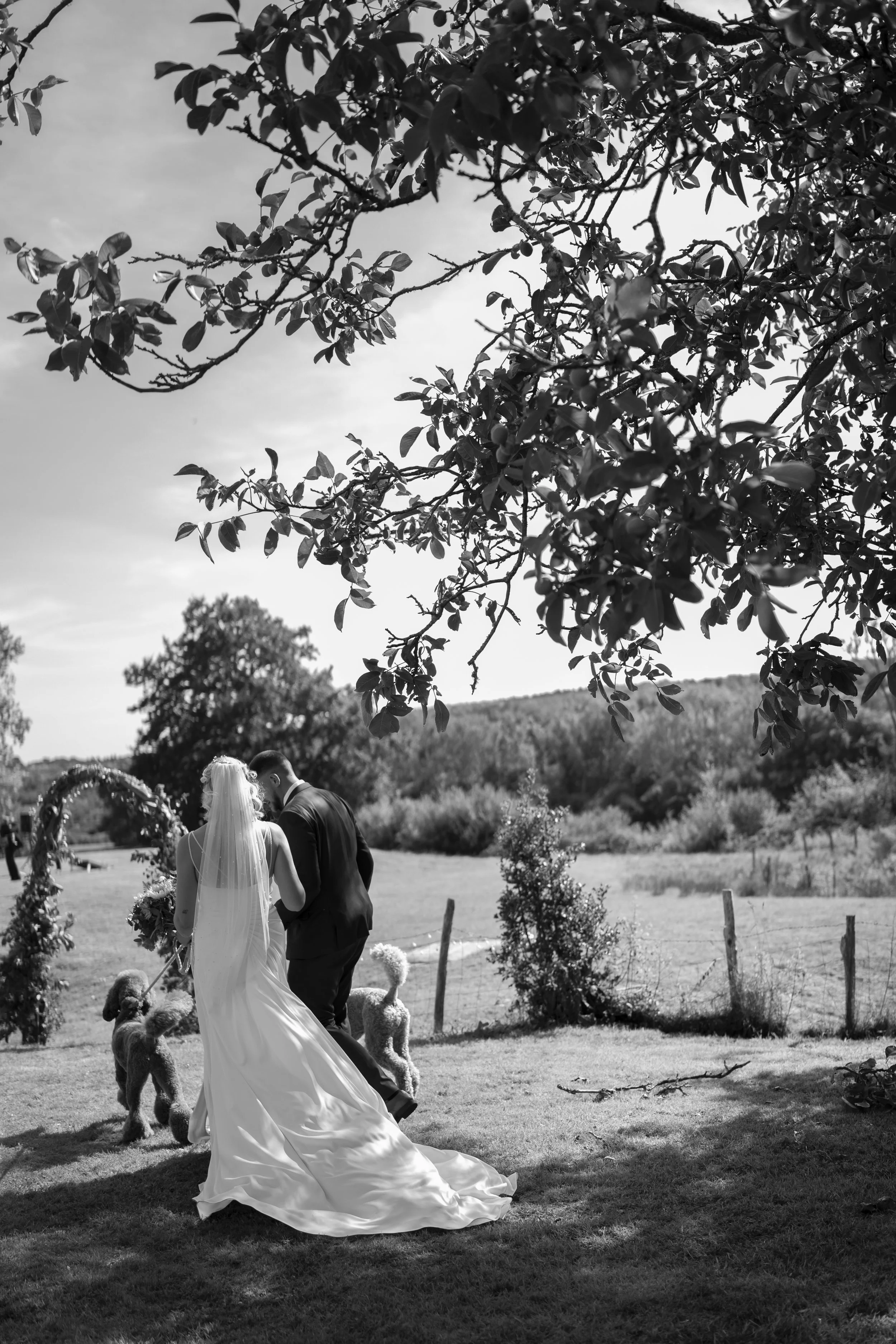 A black and white photo of a bride and groom walking outdoors on a wedding day, surrounded by trees and landscape, with two dogs and a dog-shaped leash in the foreground.