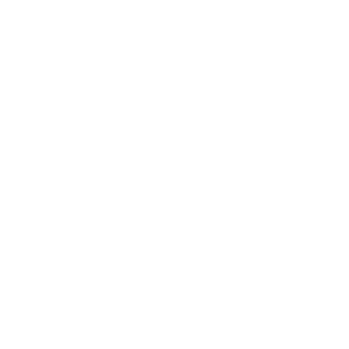 Text that reads "Electric Picnic" with a small logo of a flying insect above the word 'Picnic', on a black background.