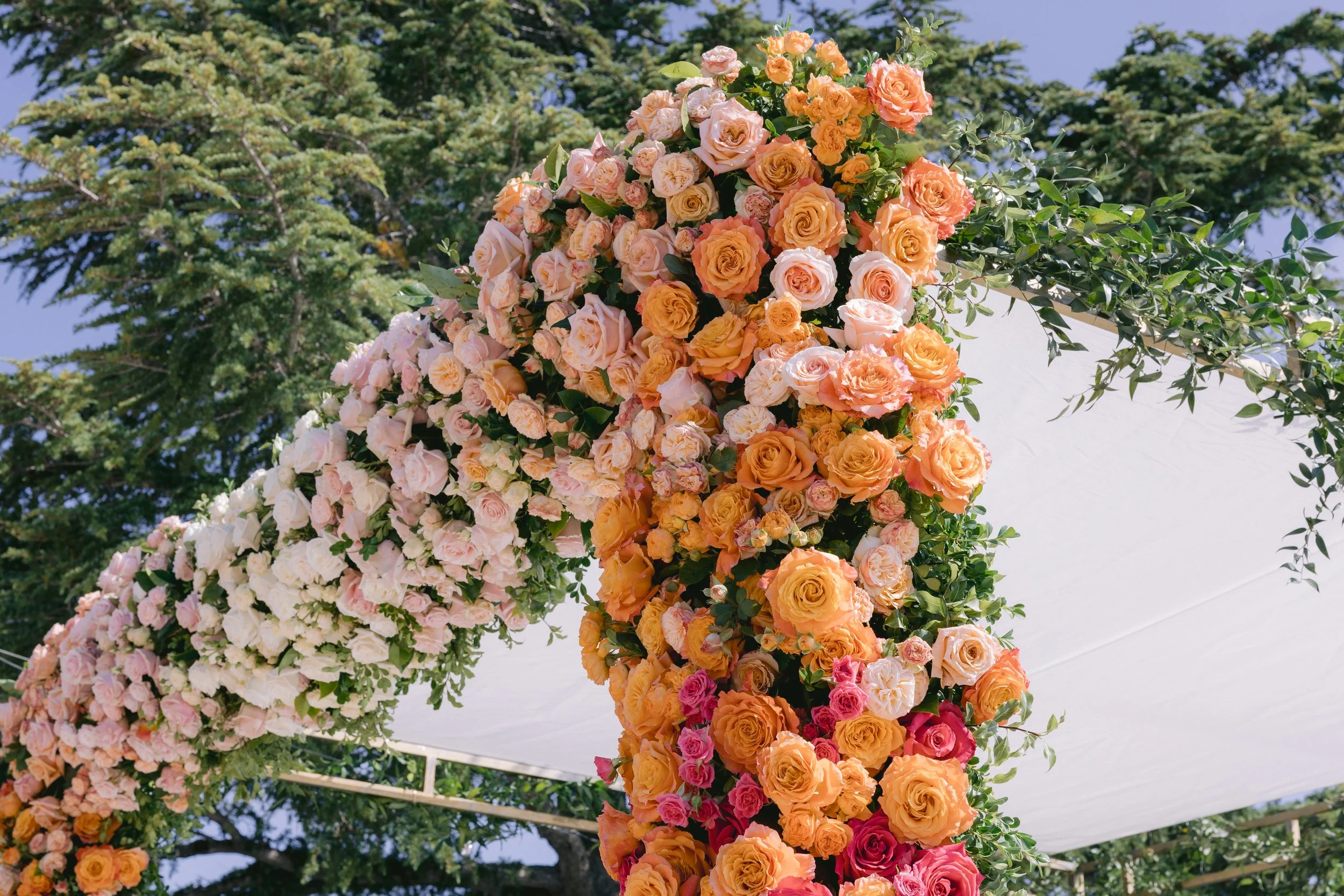 Colorful arrangements of pink, peach, orange, and red roses at an outdoor event with green trees and a bright blue sky in the background.