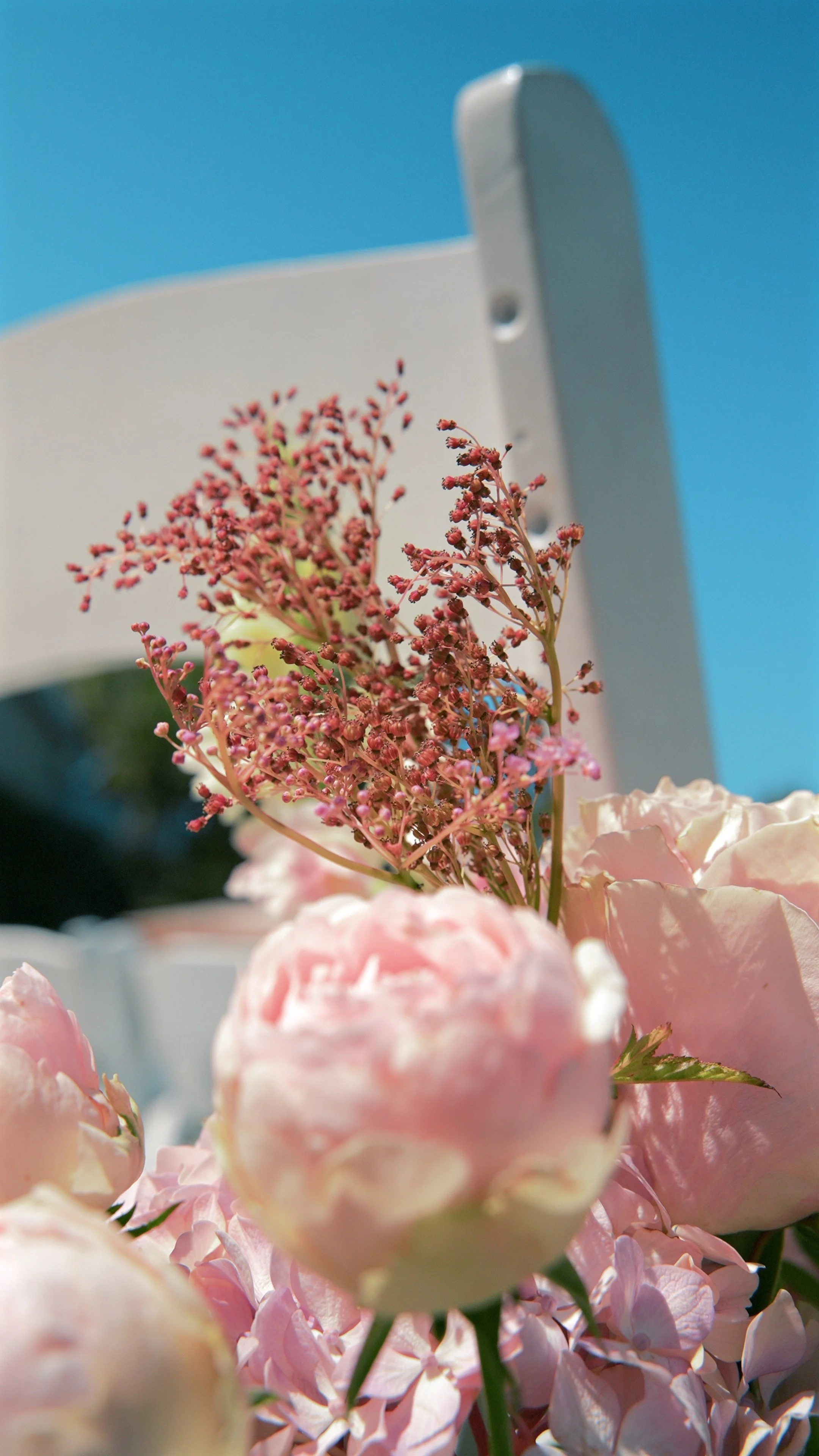Close-up of pink peonies and other flowers with a cloudy sky background.