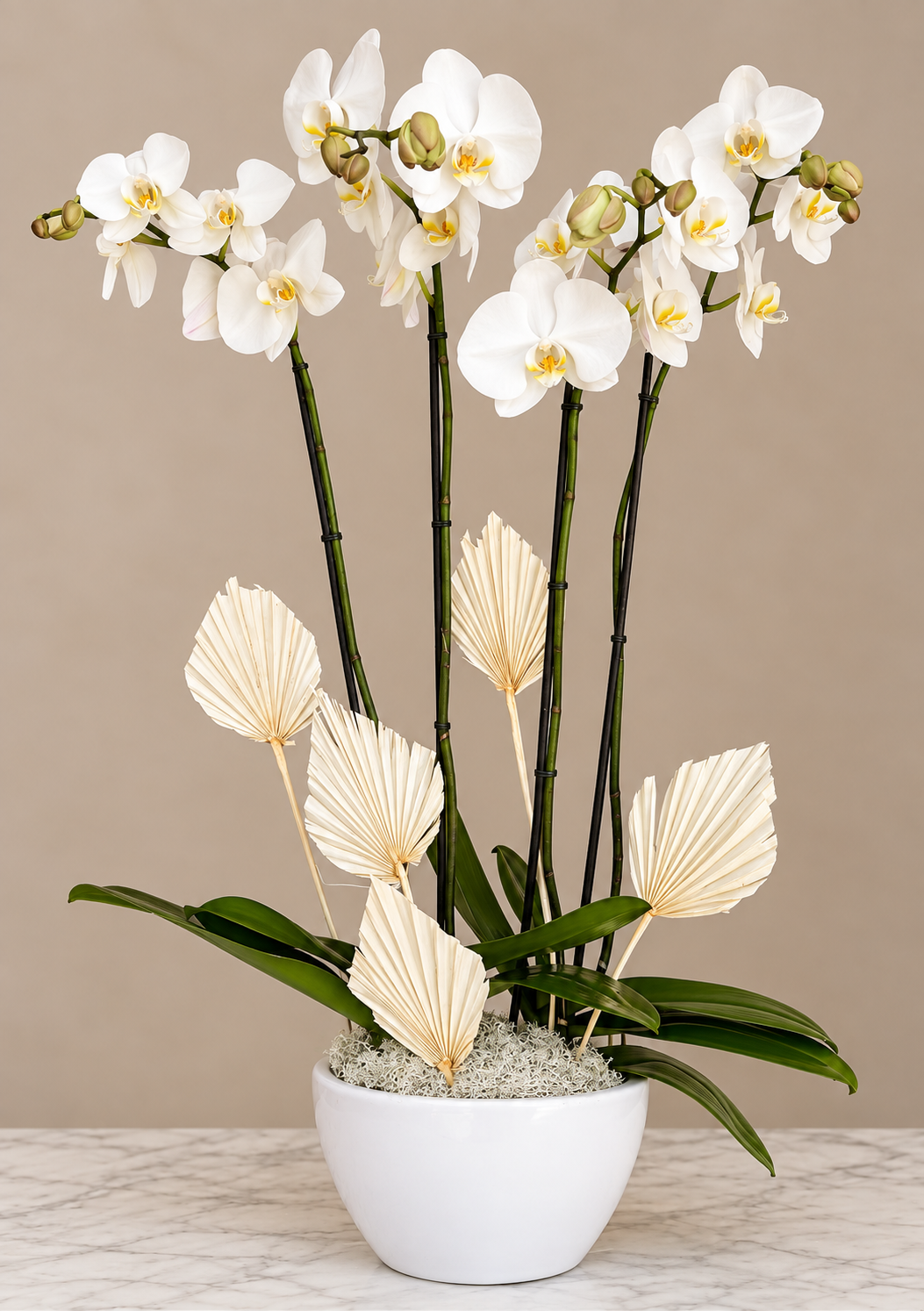 Orchids Arrangement