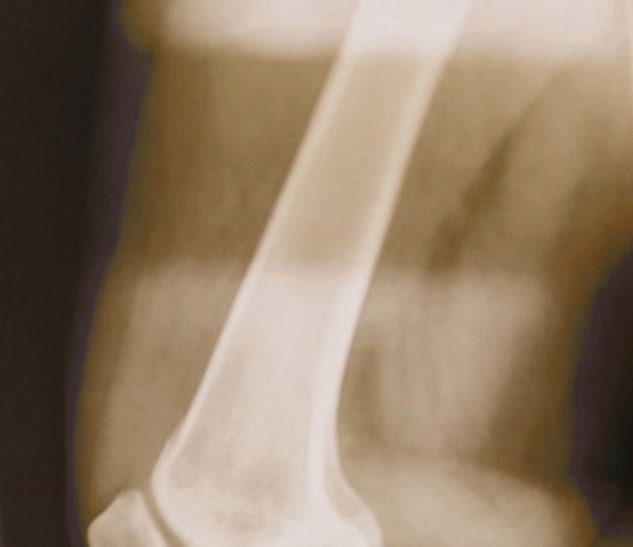 Close-up of a metallic object with a curved shape and a shiny surface, possibly part of machinery or equipment.