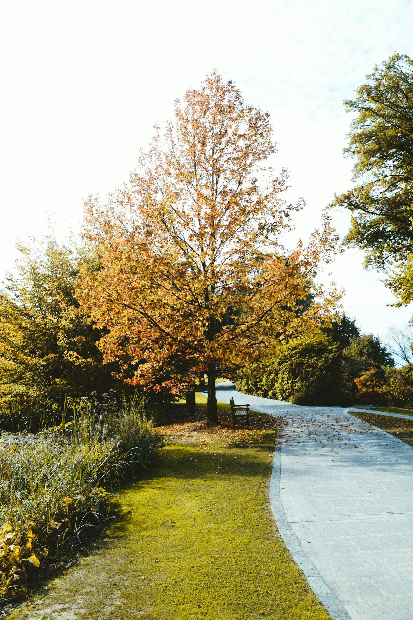 unsplash-image-Z03I45gMbZ4.jpg