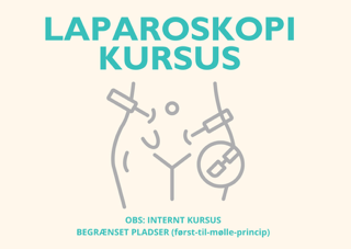 Laparoskopi kursus