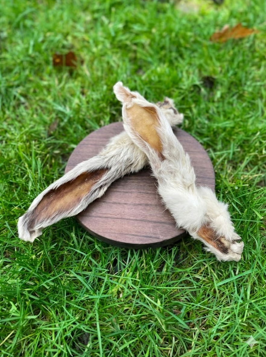 Hairy Rabbit Ear
