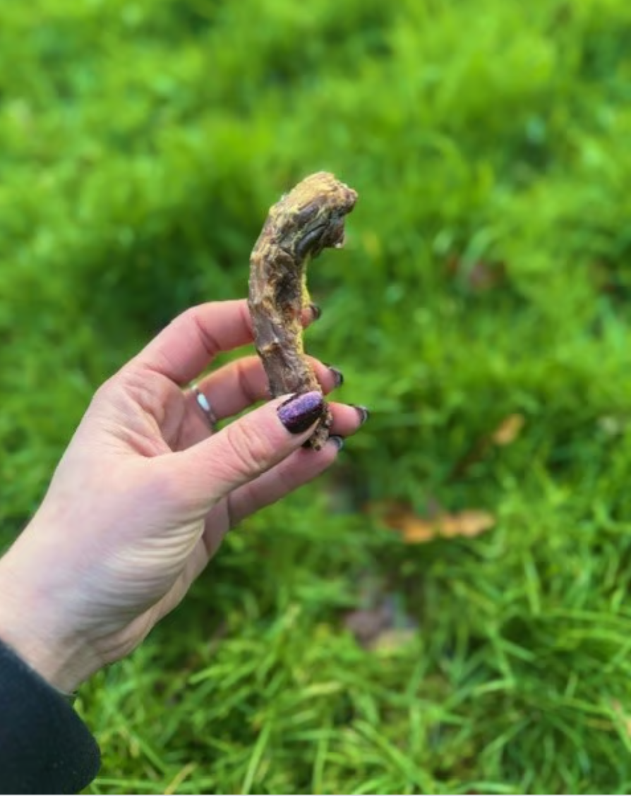 Chicken Neck