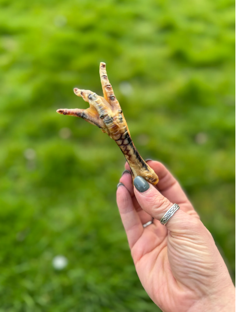 Chicken Foot
