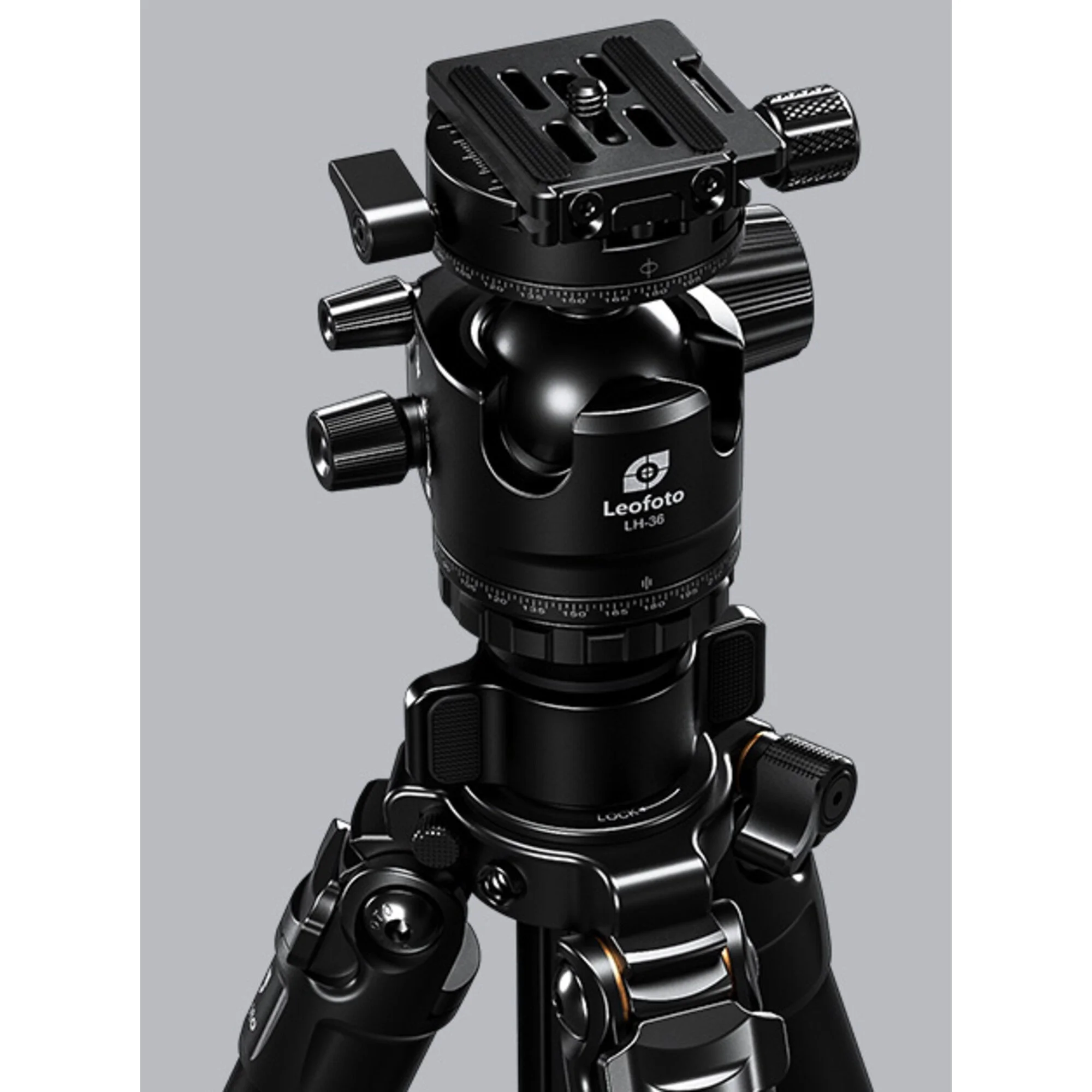 Leofoto-Carbon-Dreibeinstativ-LG-284C-Lucifer-Ballhead-LH-36R-Black-4.jpg