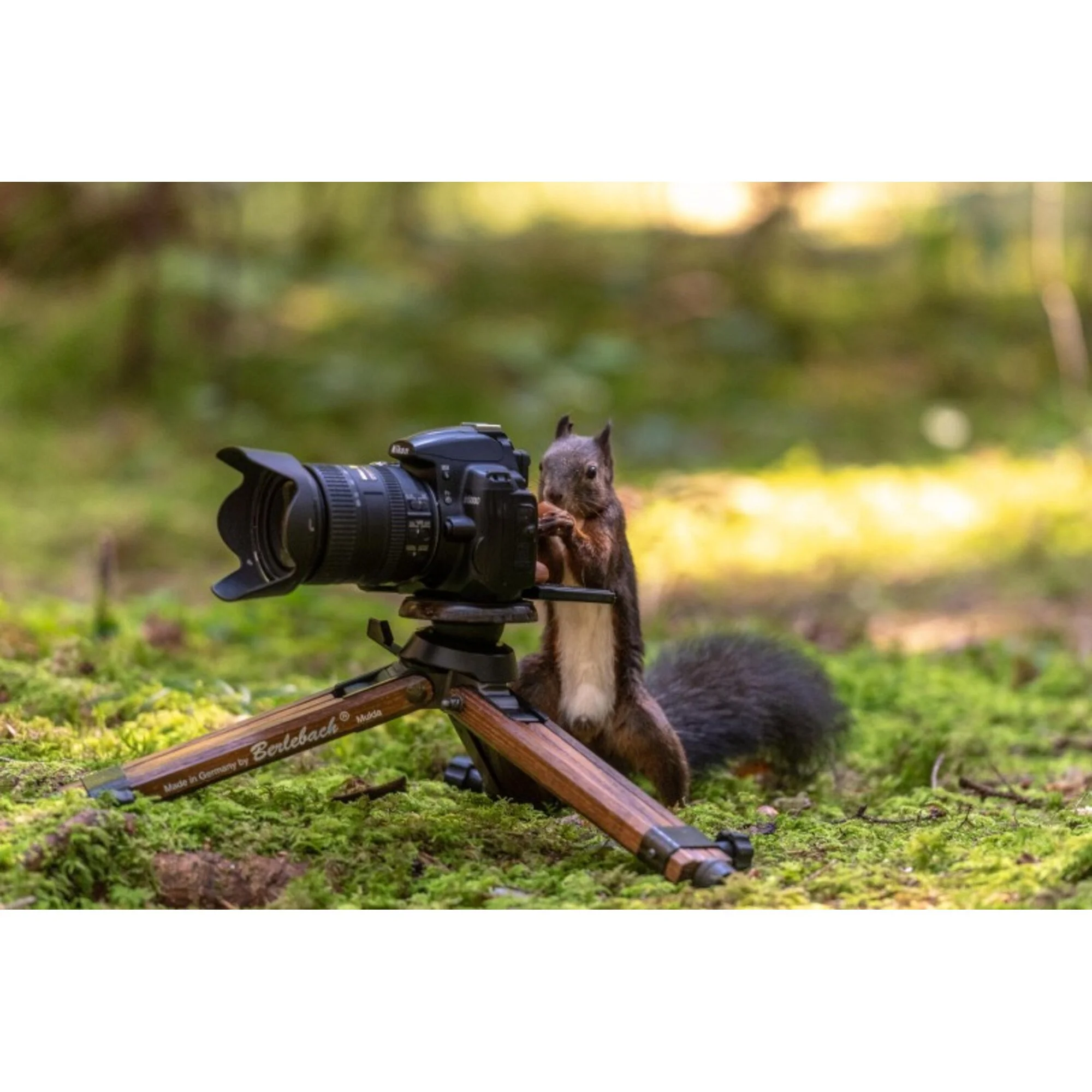 Berlebach-Holz-Dreibeinstativ-Ministativ-mit-Nivellierung-5.jpg