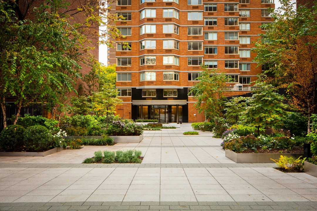 Lobby and Shared Space Gut Renovation 