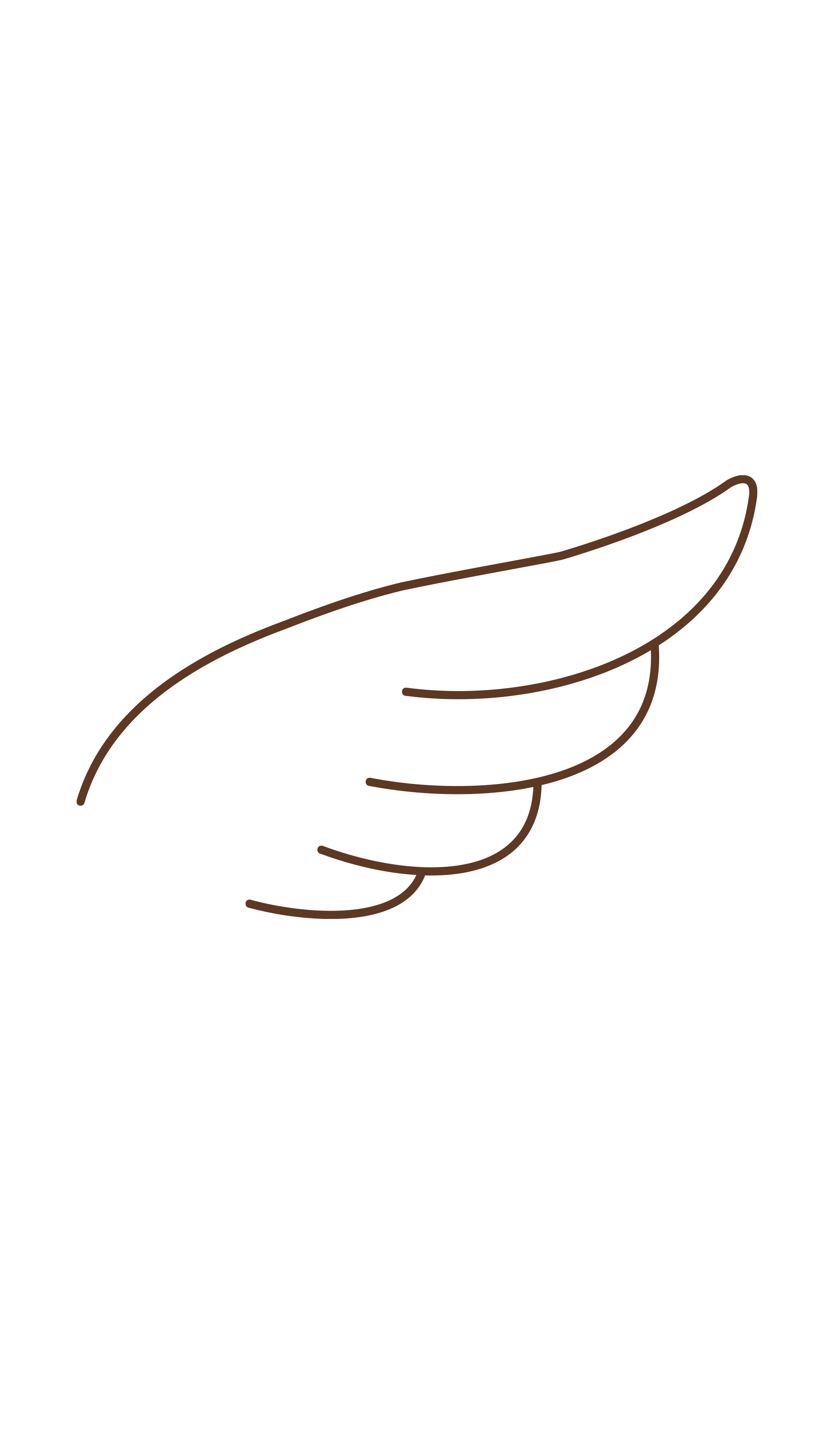 Line drawing of a hand with a simple brown outline, positioned with fingers curled under and thumb on top, against a black background.