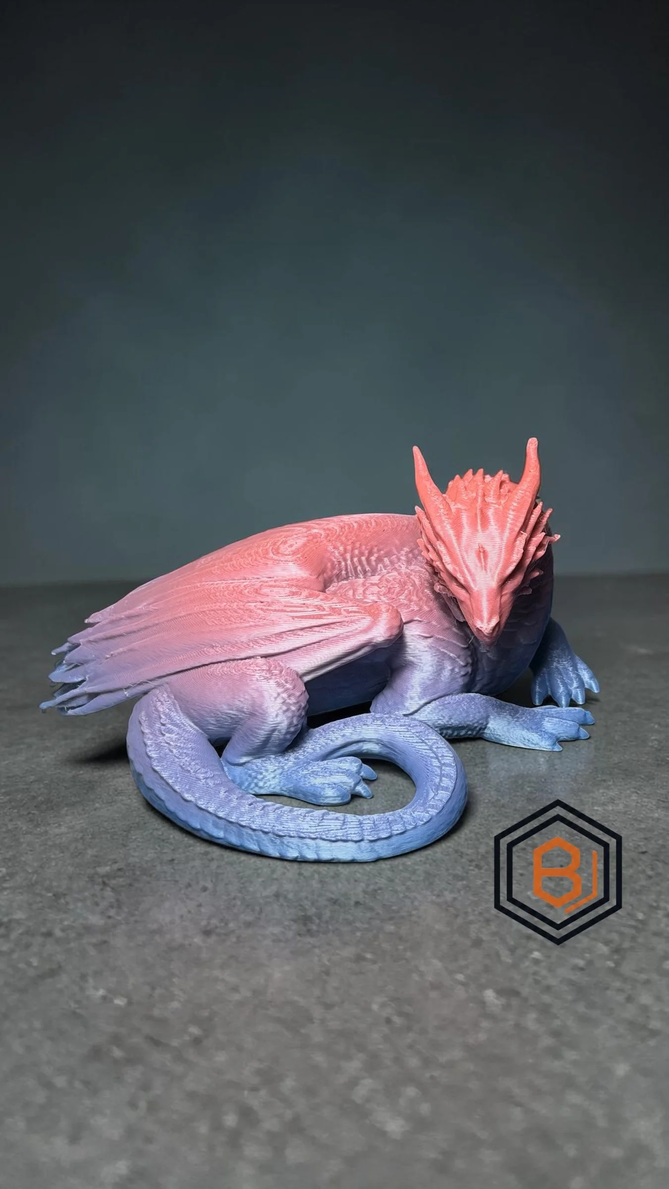 Dragon 1.jpeg