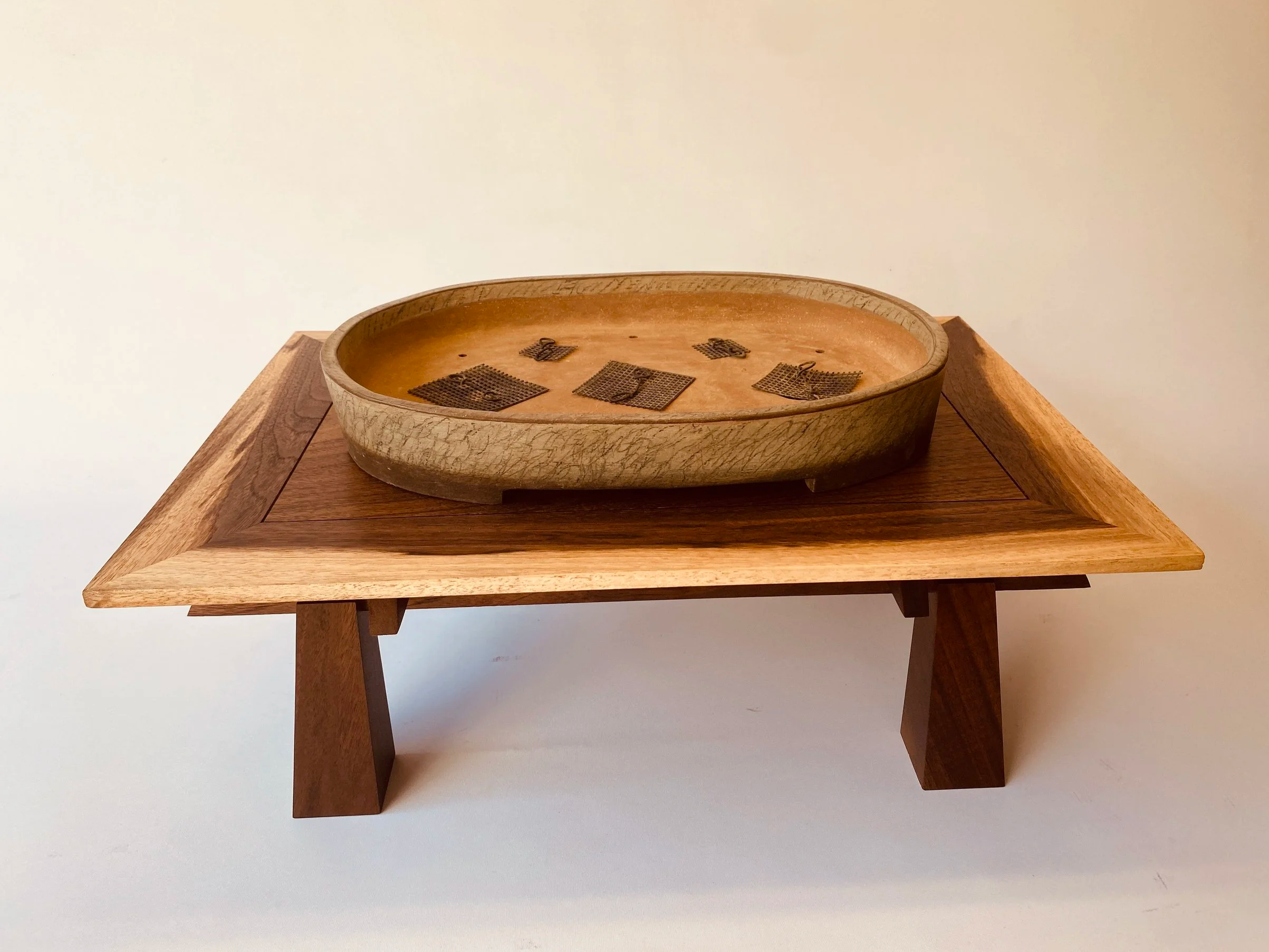 Unique bonsai stand featuring dramatic contrast between sapwood and heartwood