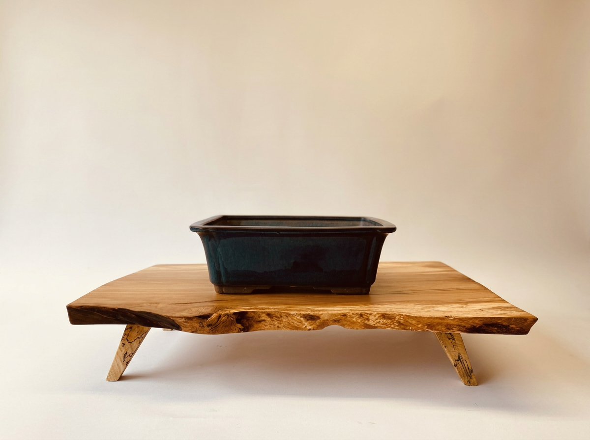 Spalted maple live edge bonsai display stand, 24" x 14"