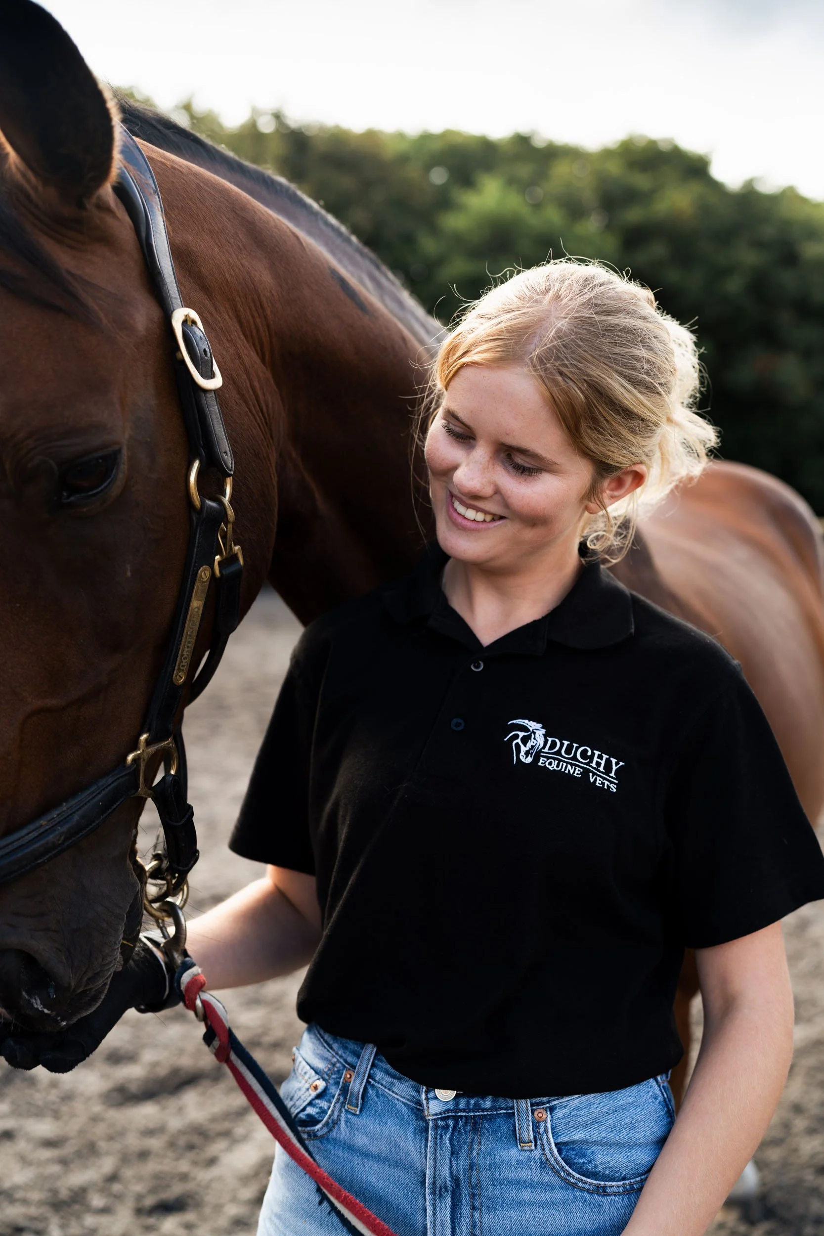 Duchy Equine Vets holding a horse by the reigns