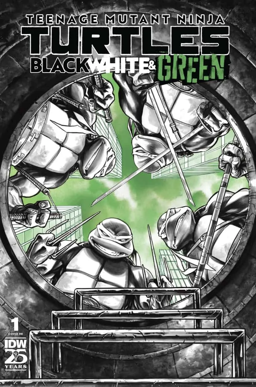 TMNT-BWG-01_RE-Double-Midnight-Comics_rich.jpg