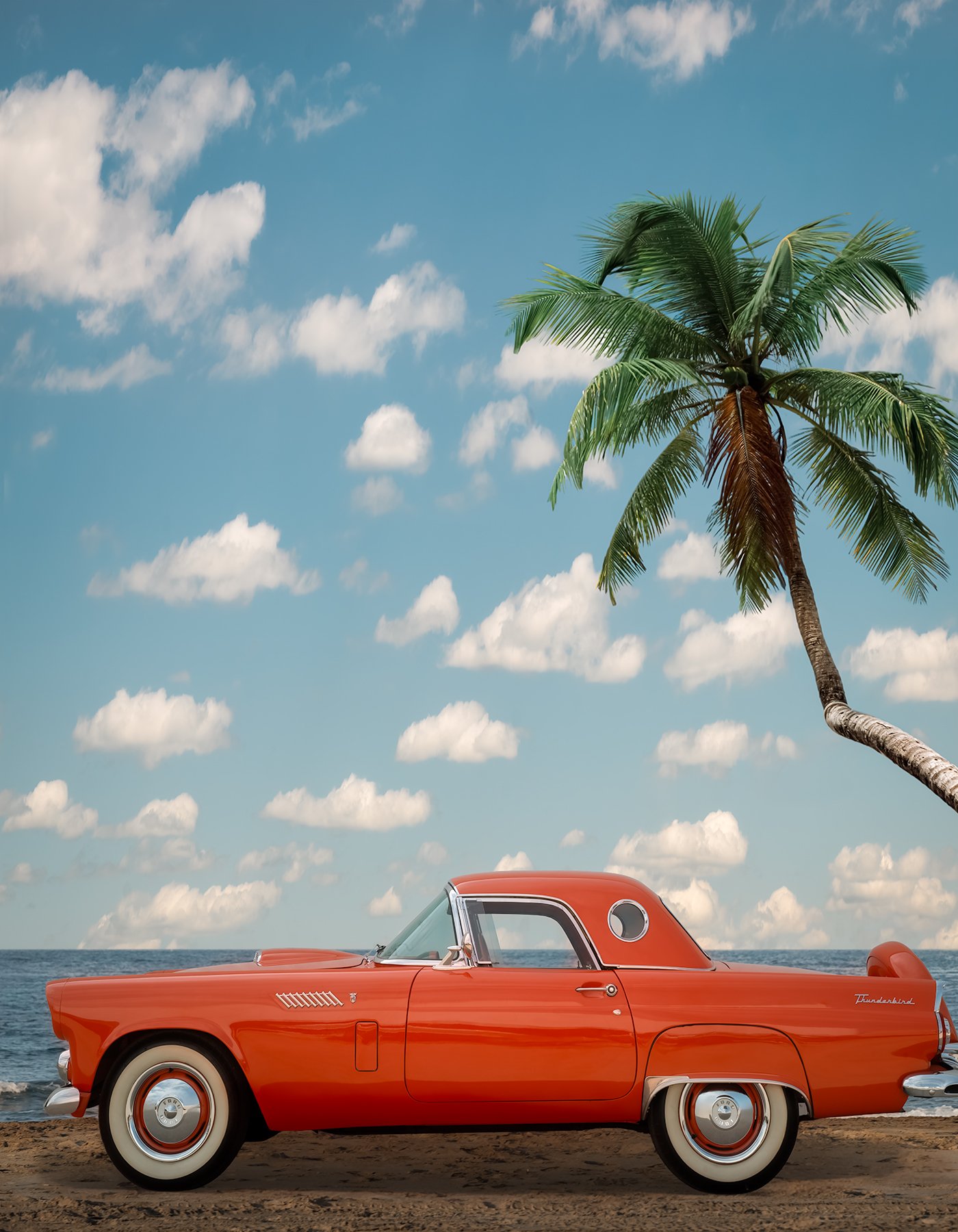 That-Summer-Thunderbird-Red-Palm-Tree-Ocean-Beach-Cloud.jpg