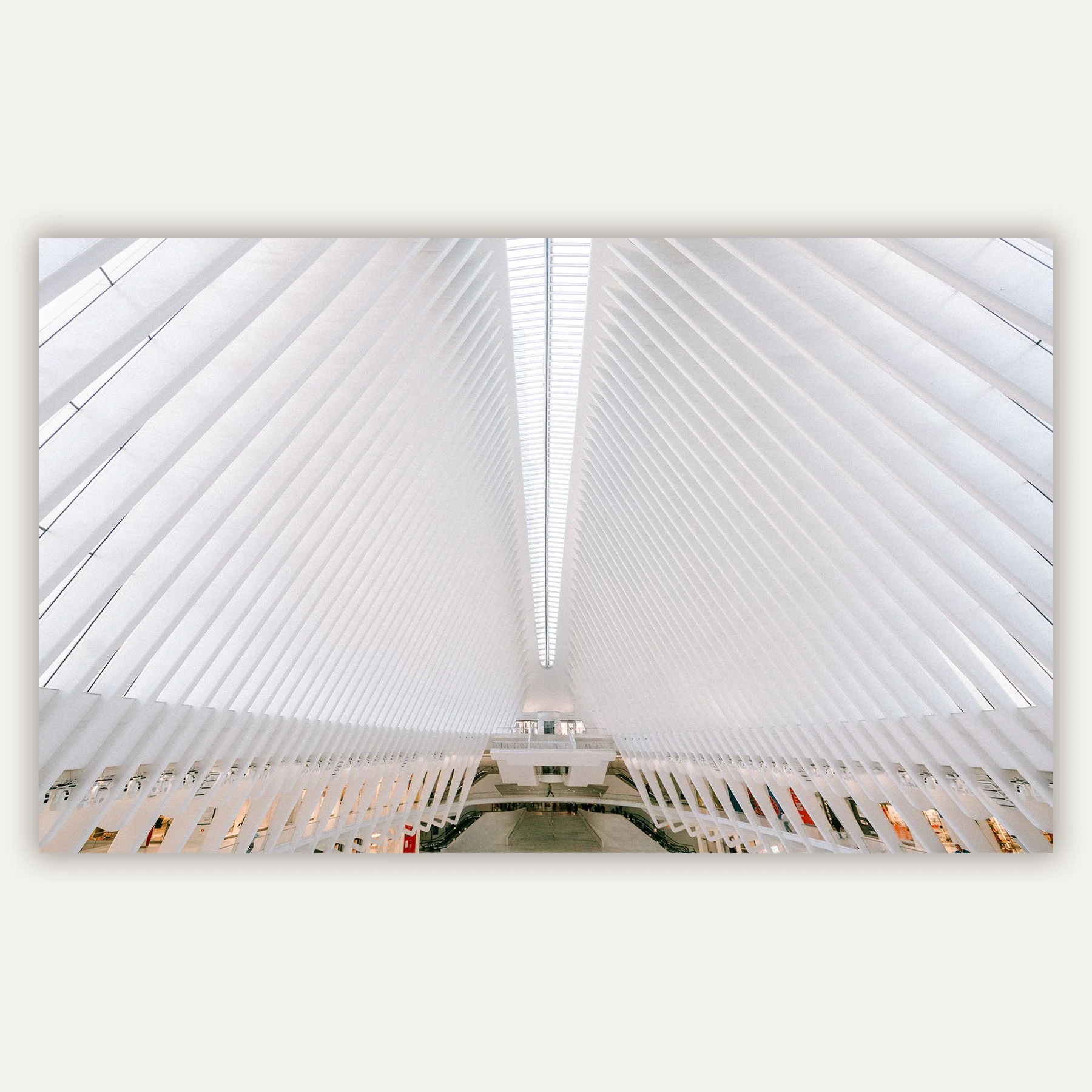 The Oculus