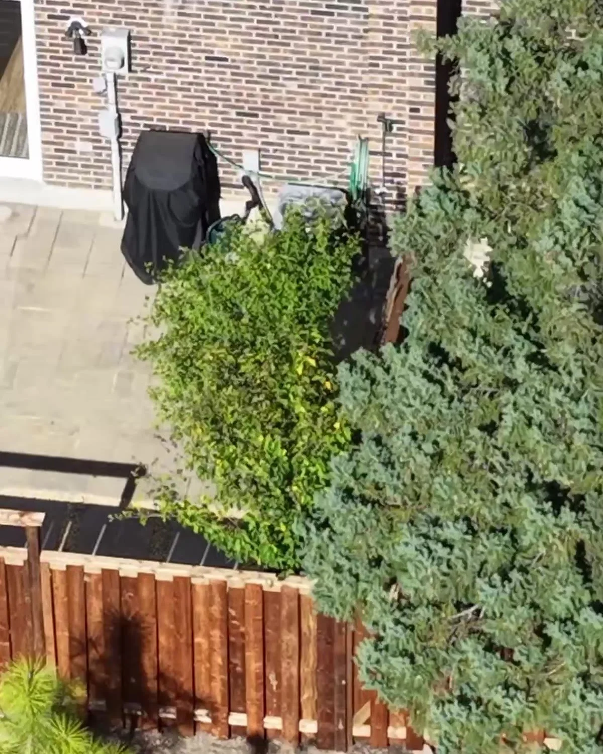 Aerial view of the old weathered wood fence beside a patio and evergreens in a Mississauga backyard before the fence replacement