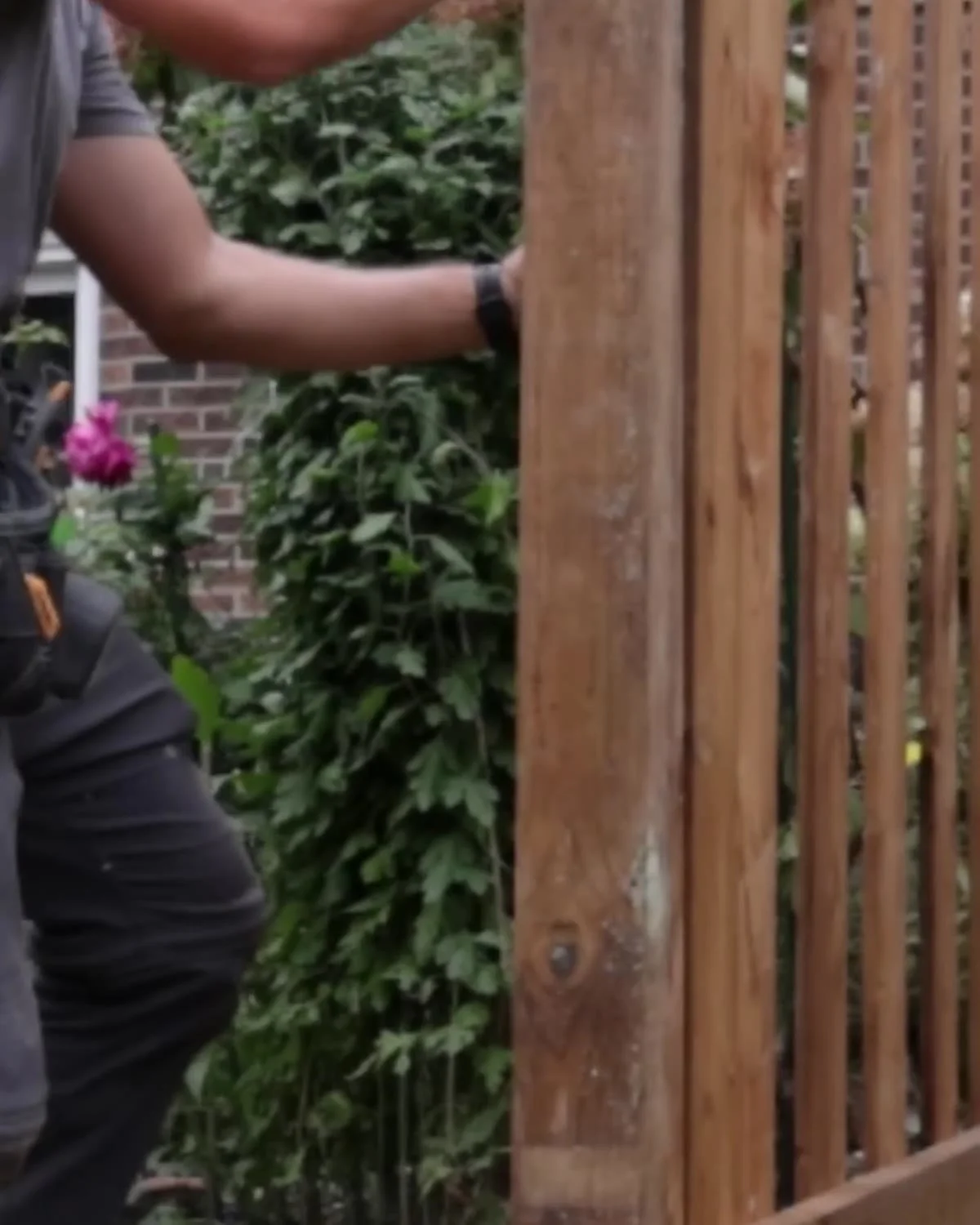 Crew member fastening new vertical wood boards to the rails of a new backyard fence in Mississauga, with climbing plants behind