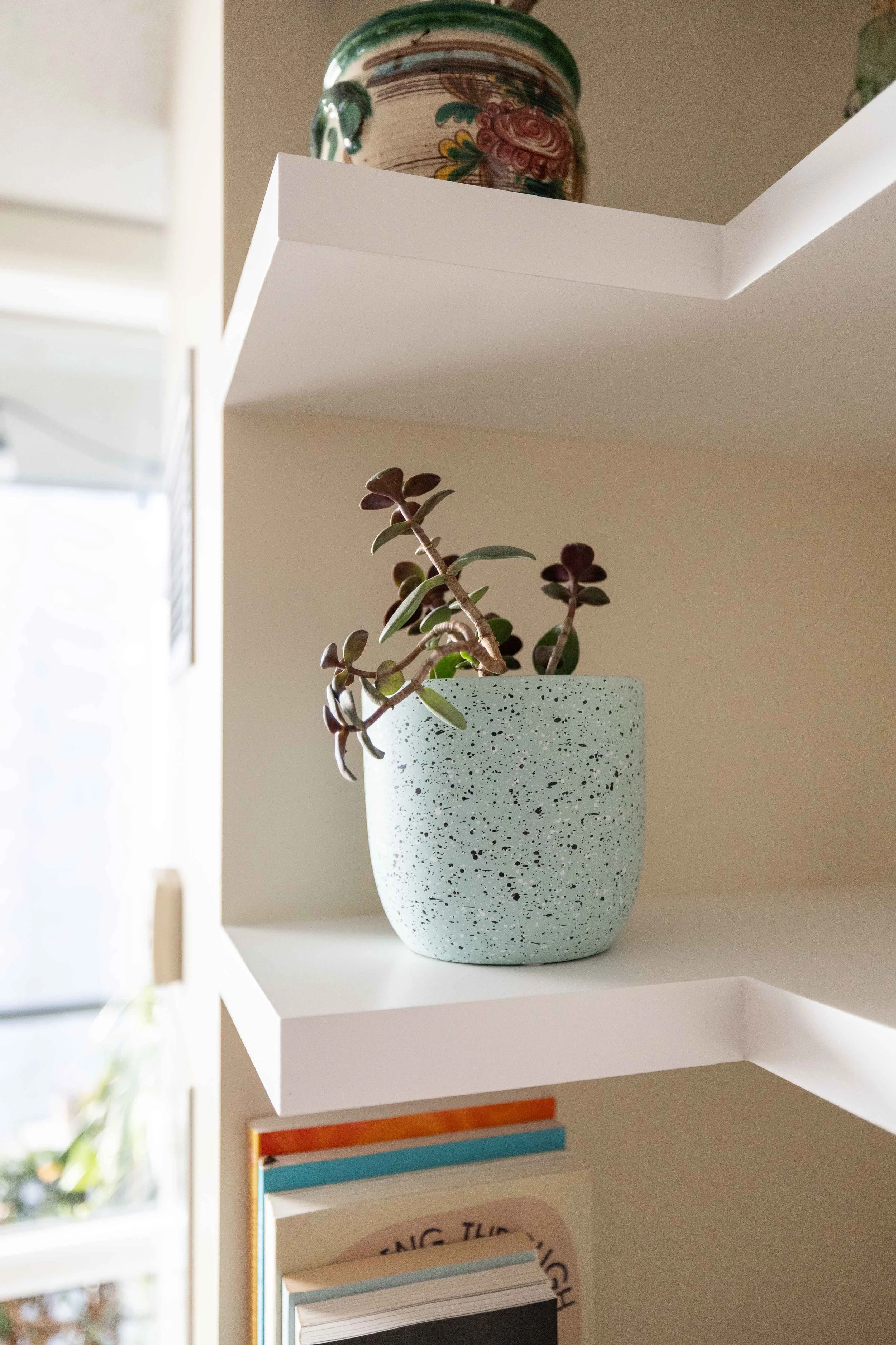 A white speckled ceramic vase with a succulent plant on a white shelf. In the background, there is a colorful ceramic jar or pot on the top shelf and books on the lower shelf.