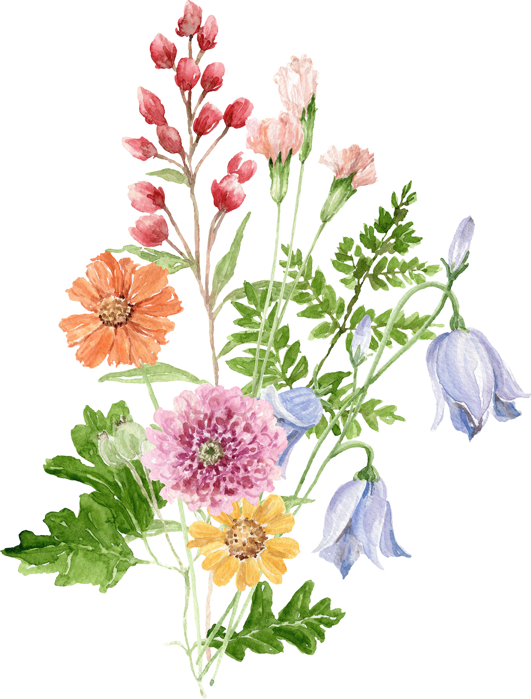 Watercolor painting of various flowers including pink, orange, yellow, purple, and white flowers with green leaves.