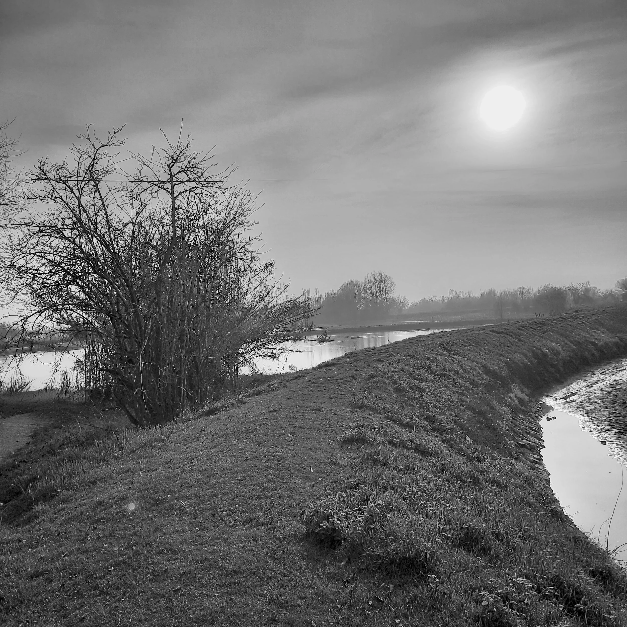 Serene Riverside fine art Landscape Print