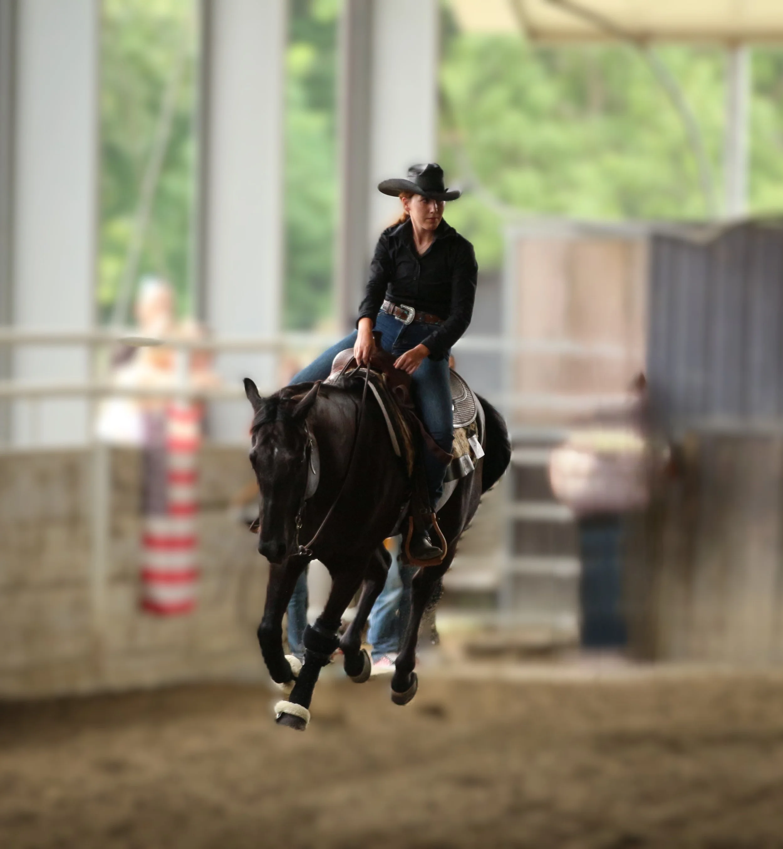 A woman wearing a black cowboy hat, black shirt, and jeans riding a black horse indoors with large windows and greenery outside.